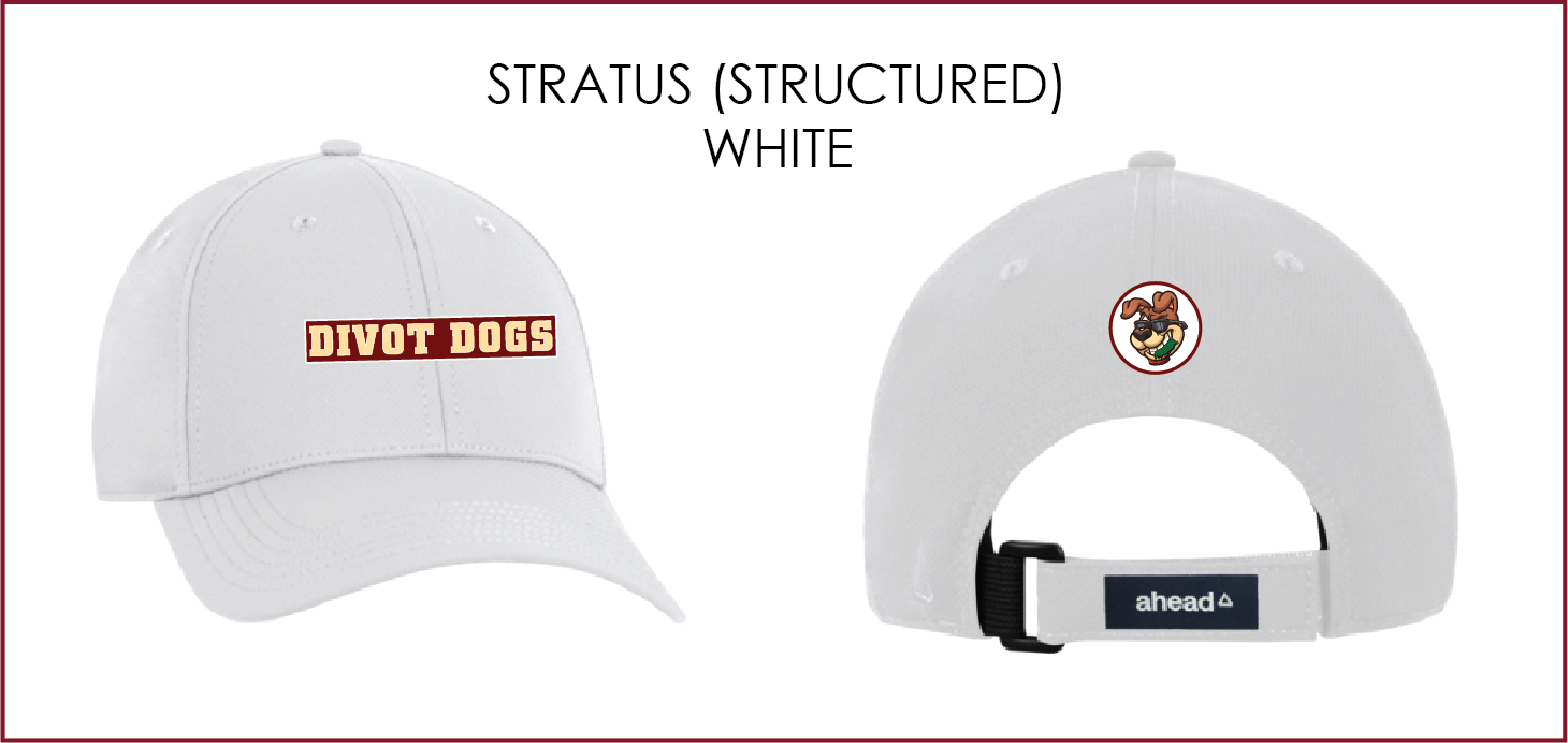 Stratus white w logos.png