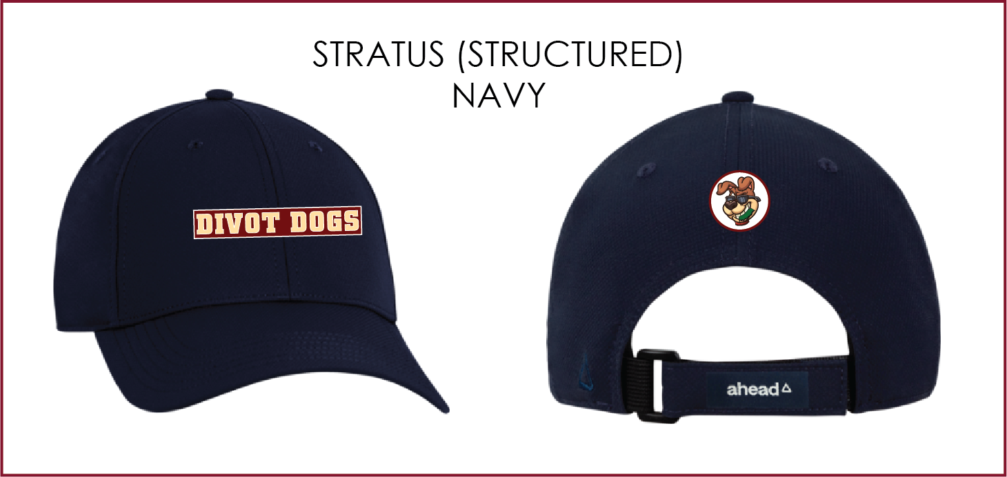 Stratus navy w logos.png