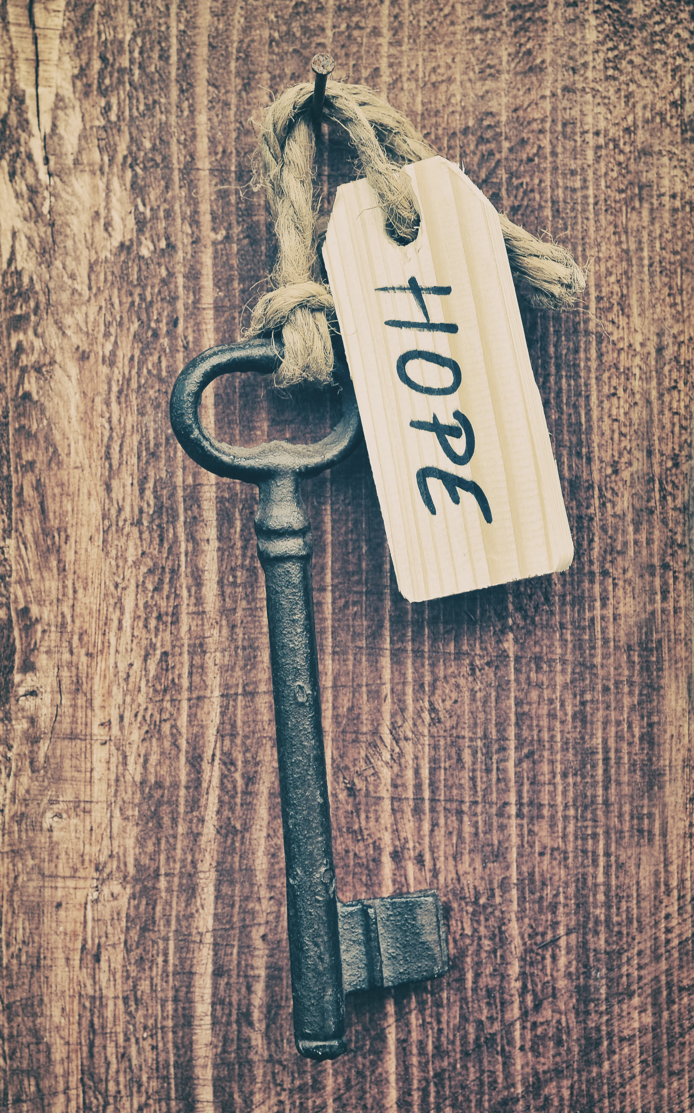 iStock-528632841.jpg