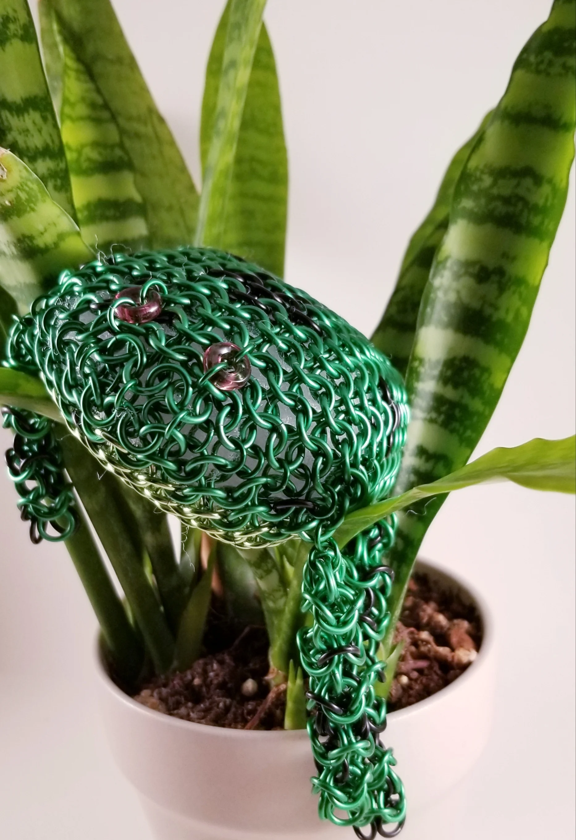 Poison Arrow Frog, Green and Black