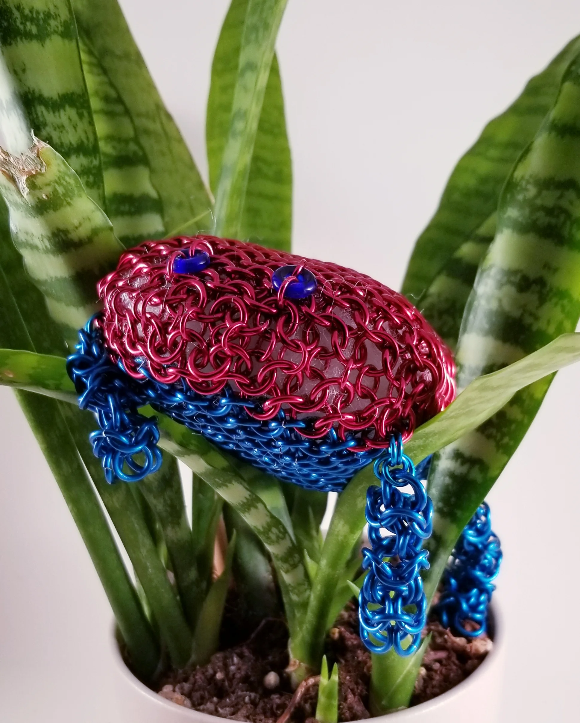 Poison Arrow Frog- Red and Blue