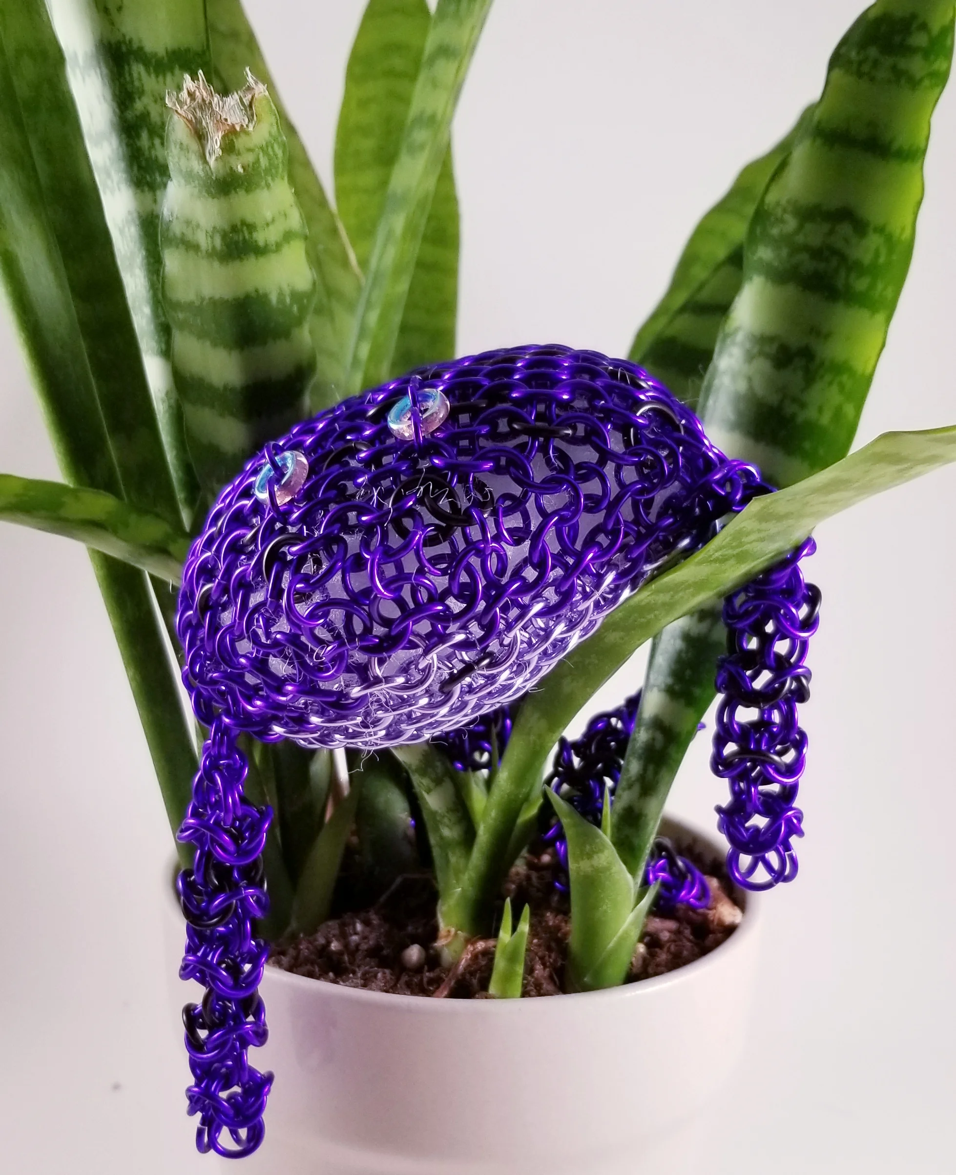 Poison Arrow Frog- Purple and Black