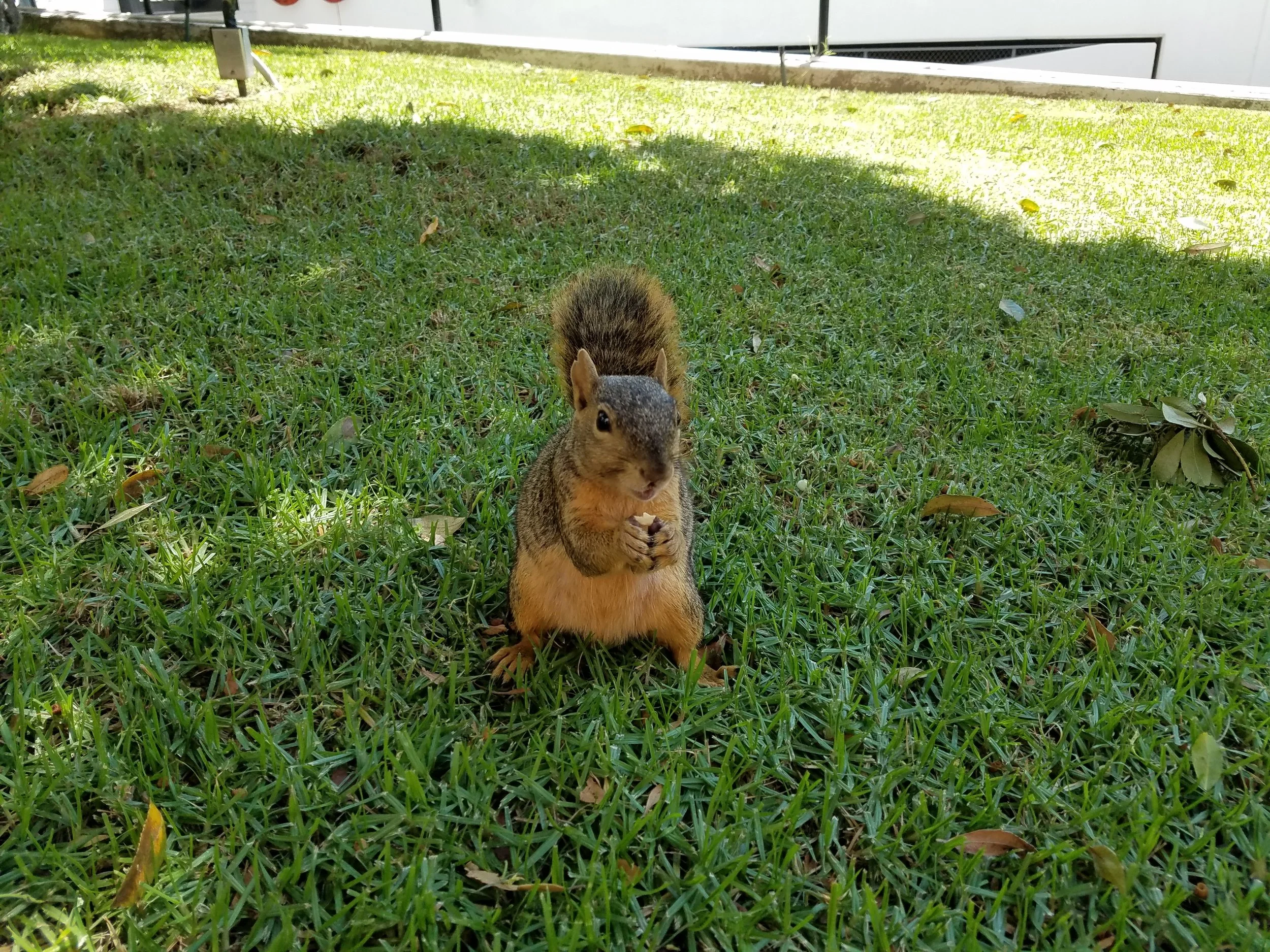 20160814_123059.jpg