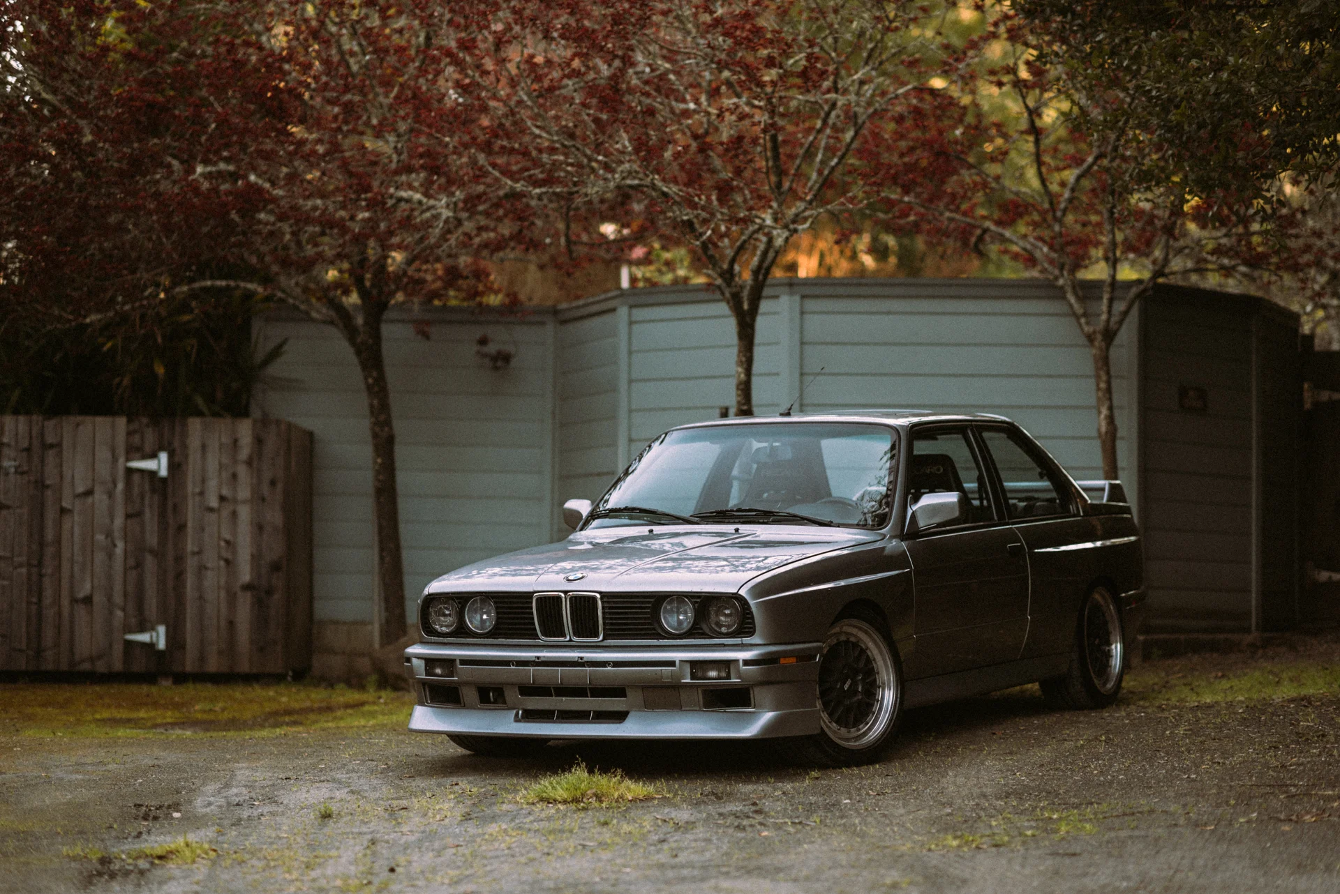 DSC_7674.jpg