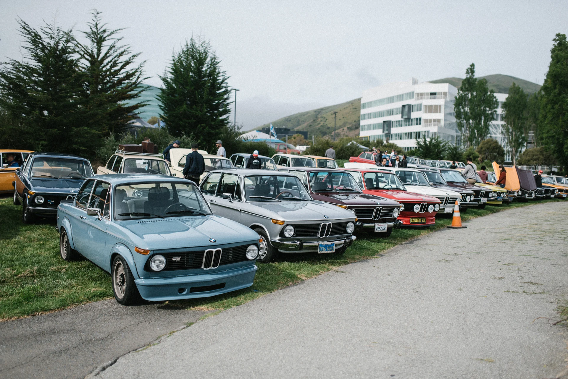 DSC_7907.jpg