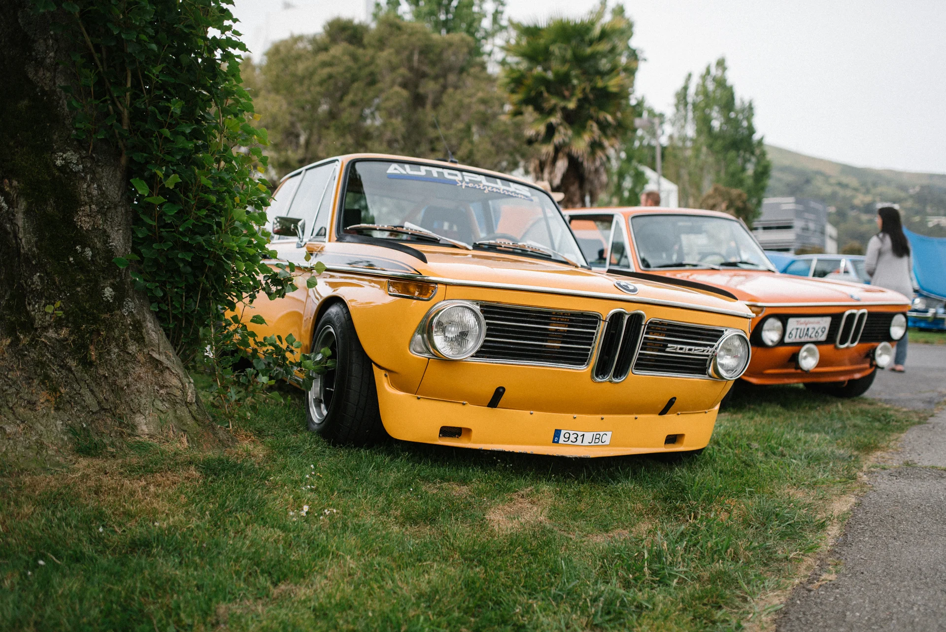 DSC_8101.jpg