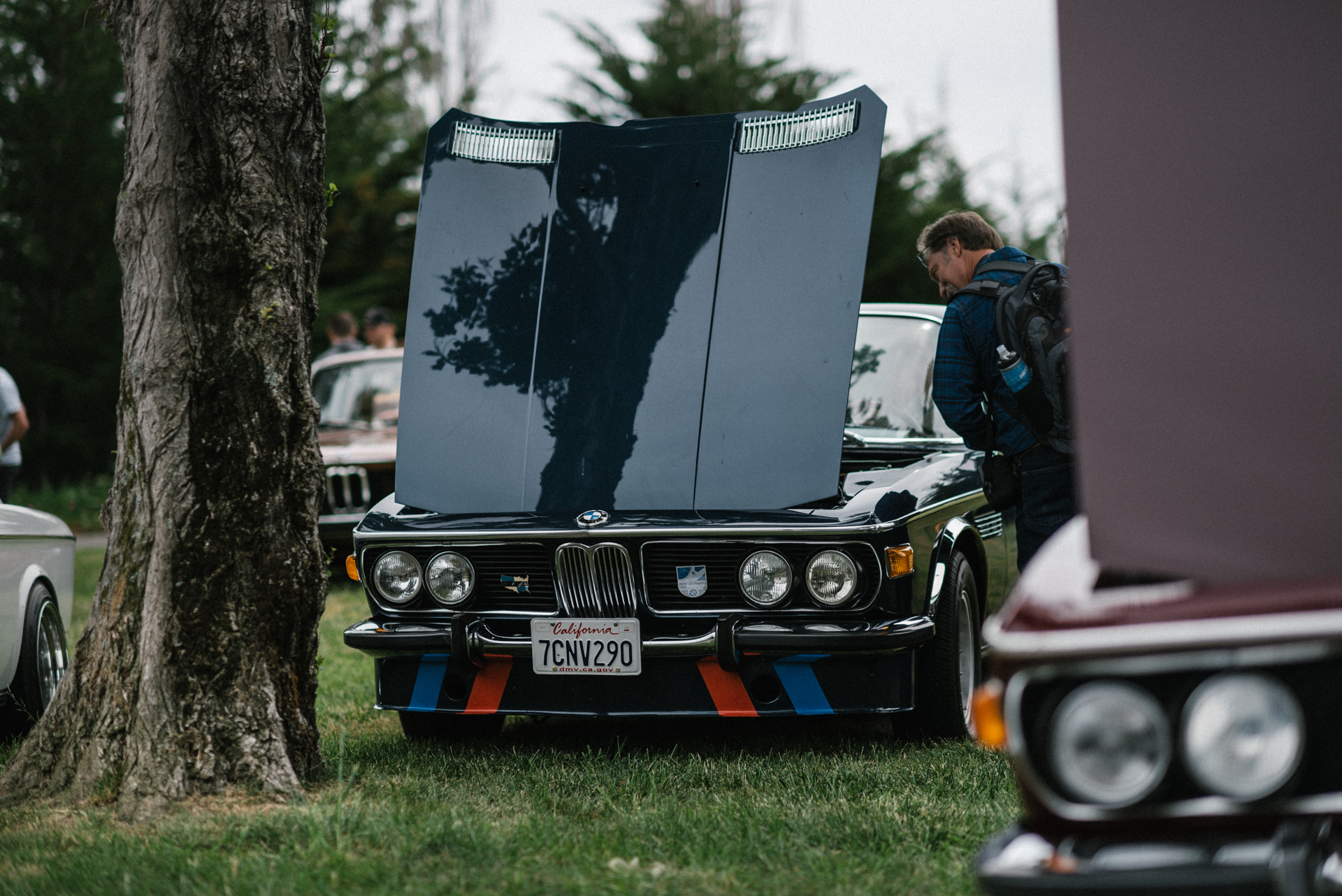 DSC_8207.jpg