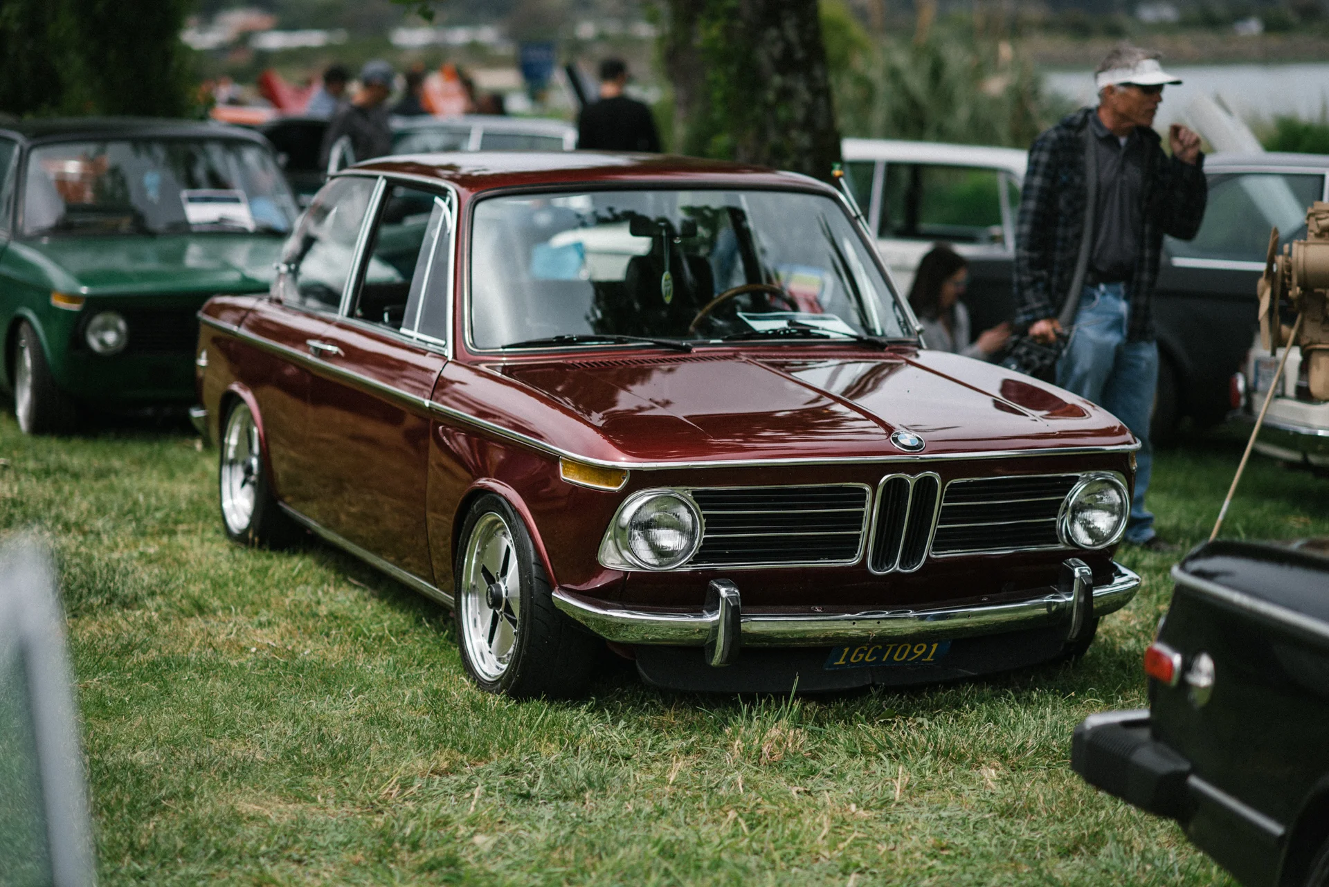 DSC_8295.jpg