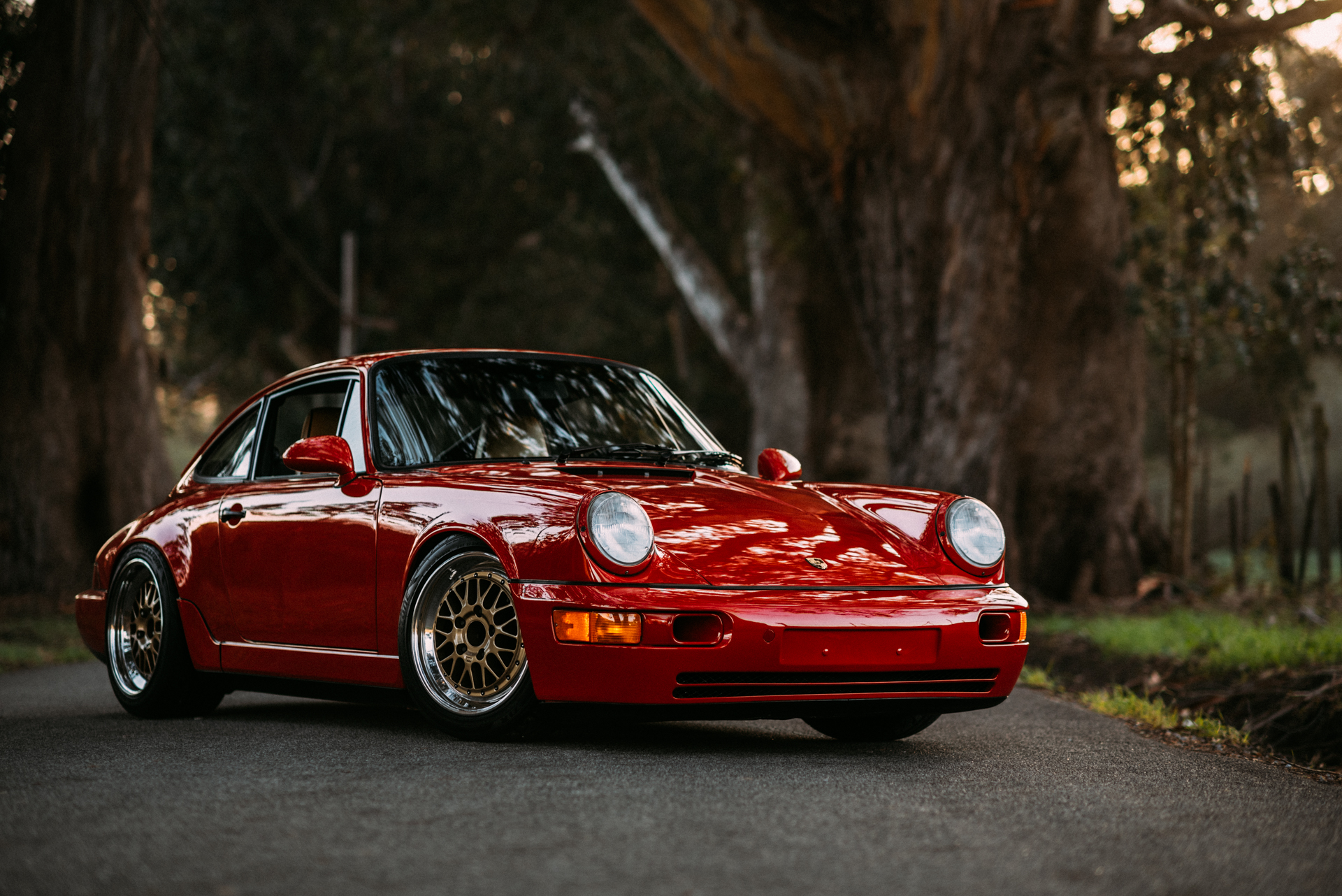 DSC_4480-Edit.jpg