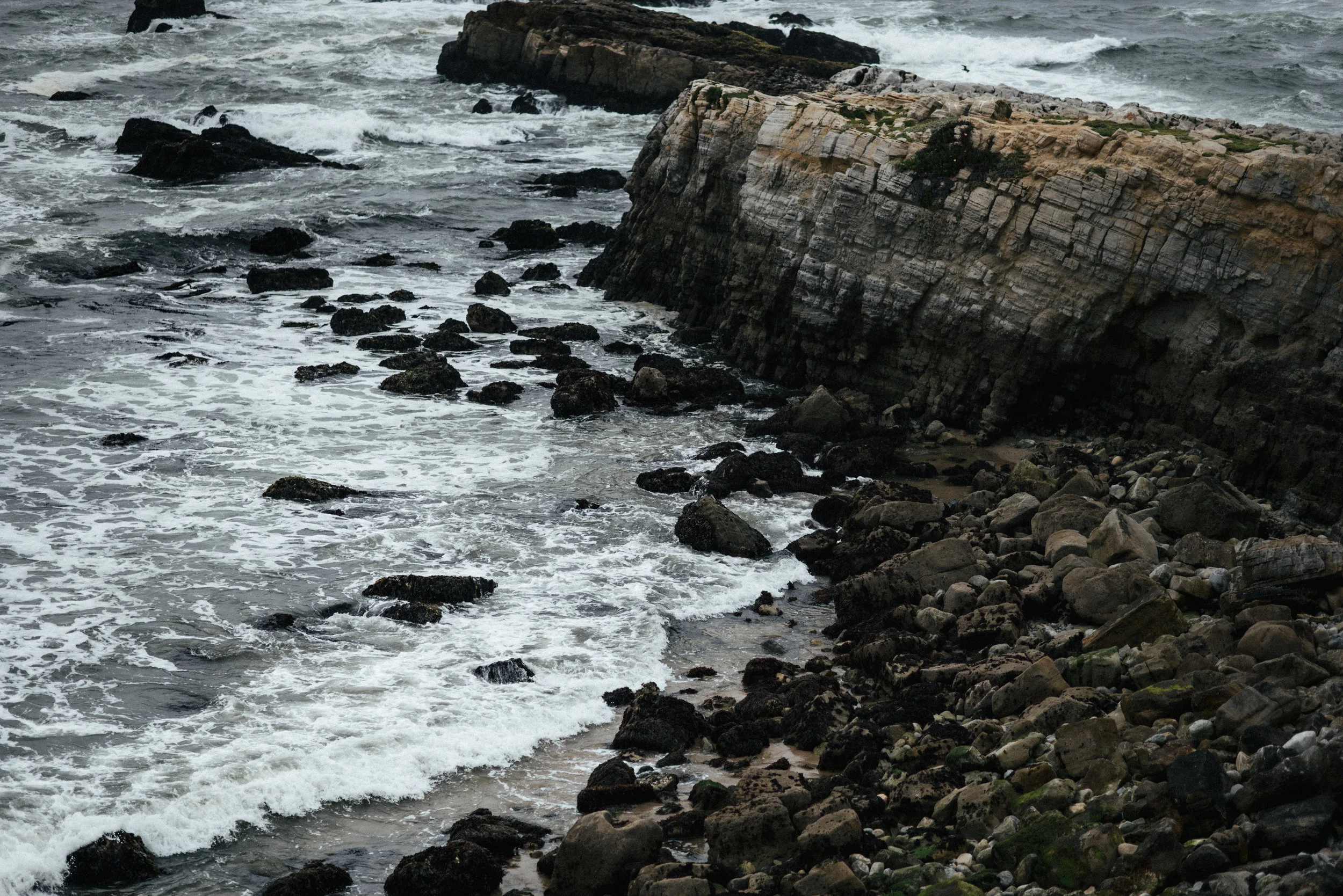 DSC_3779.jpg