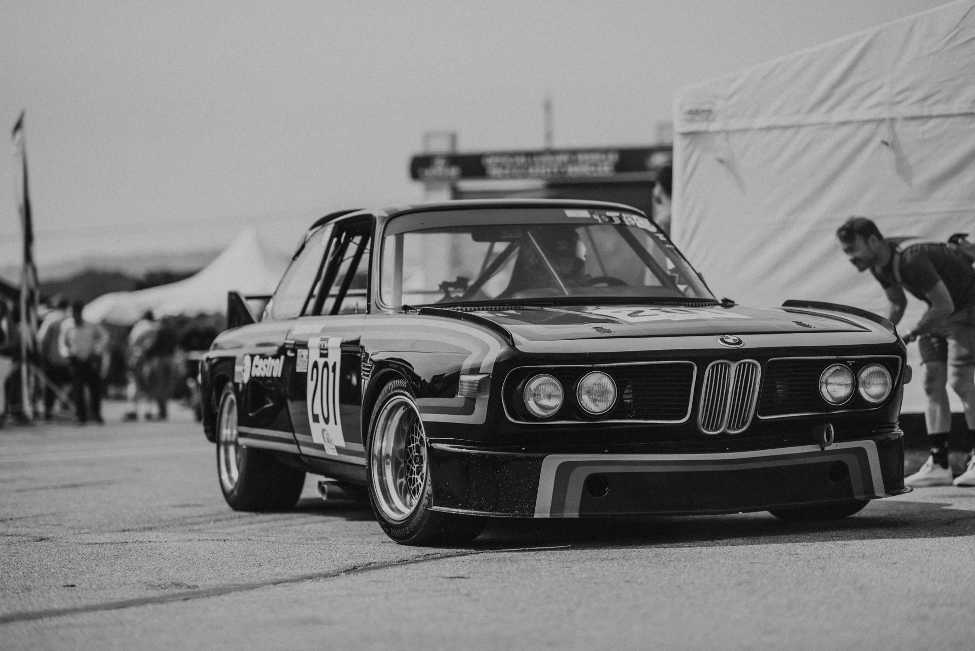 DSC_2350.jpg