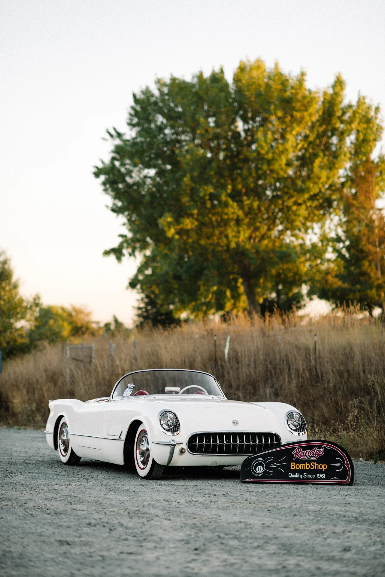 Randy_Corvette-31.jpg