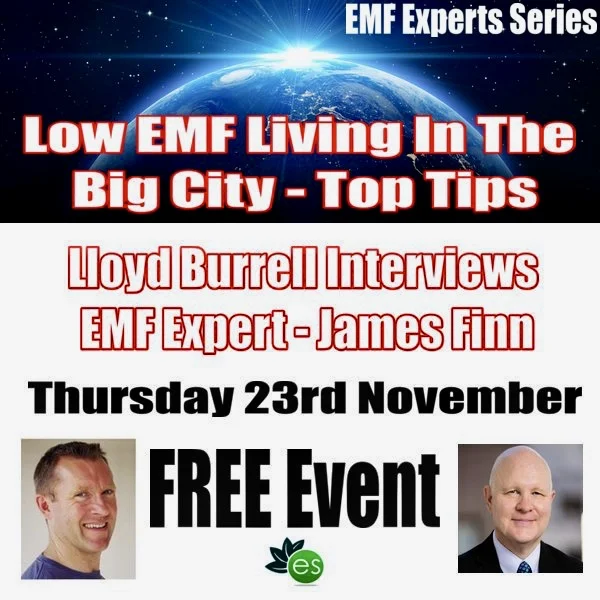 James Finn's Phone Podcast Interview Hosted By Lloyd Burrell of ElectricSense in Paris, France