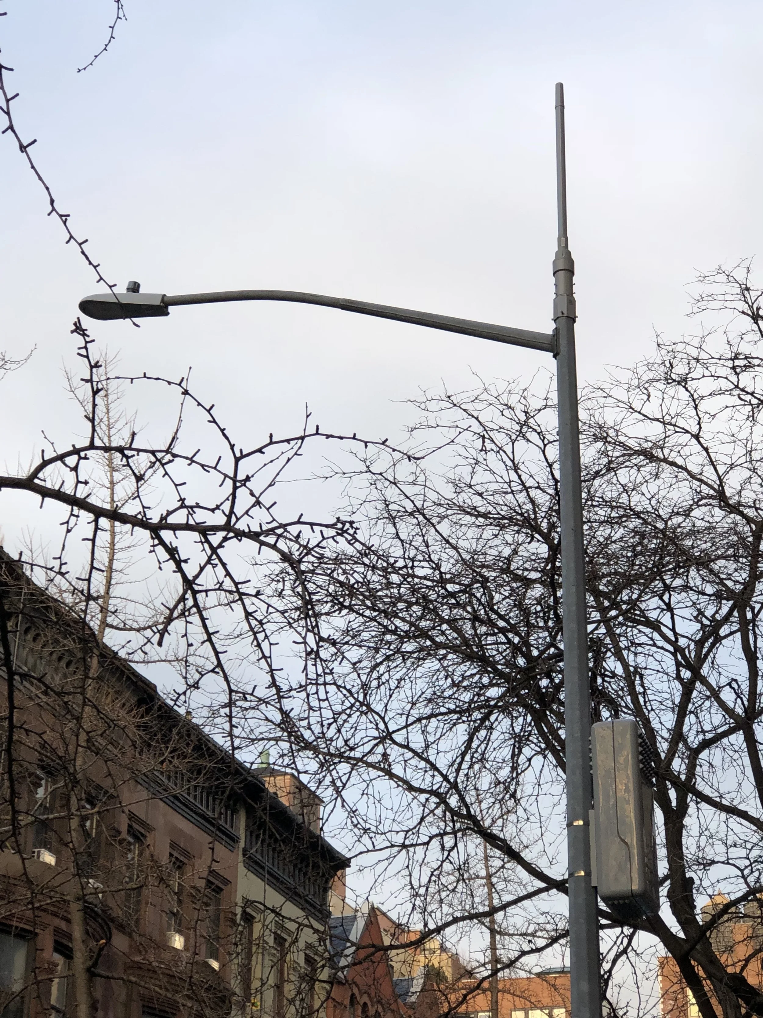 Copyright ©2019