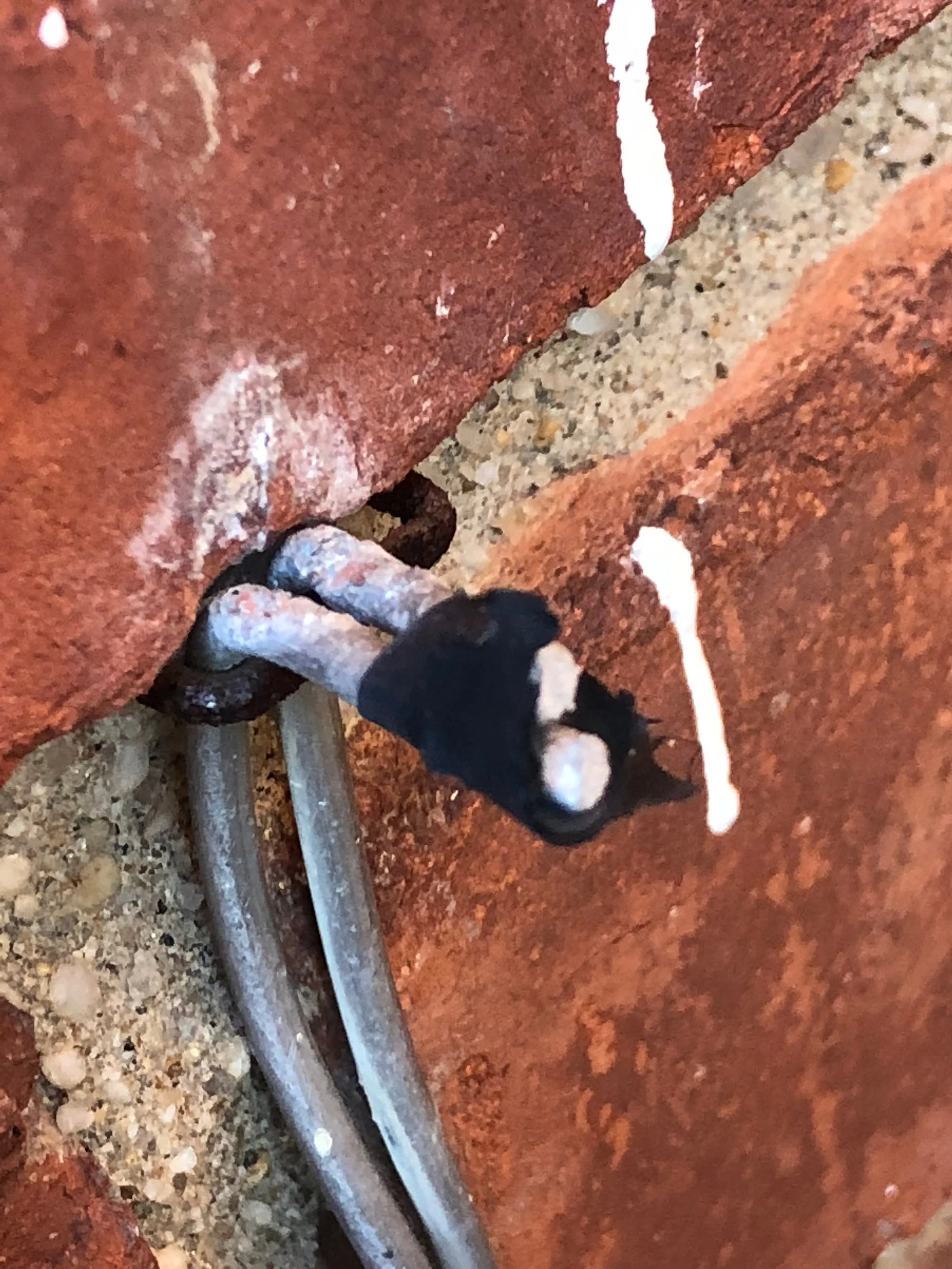 This is the old ground wire. You can see the oxidative corrosion. We not only helped to facilitate our client’s healing process, but we also identified an electrical shock hazard that has been eliminated. This home had many EMF issues which were all fixed. Now, our client can live at home with peace of mind.