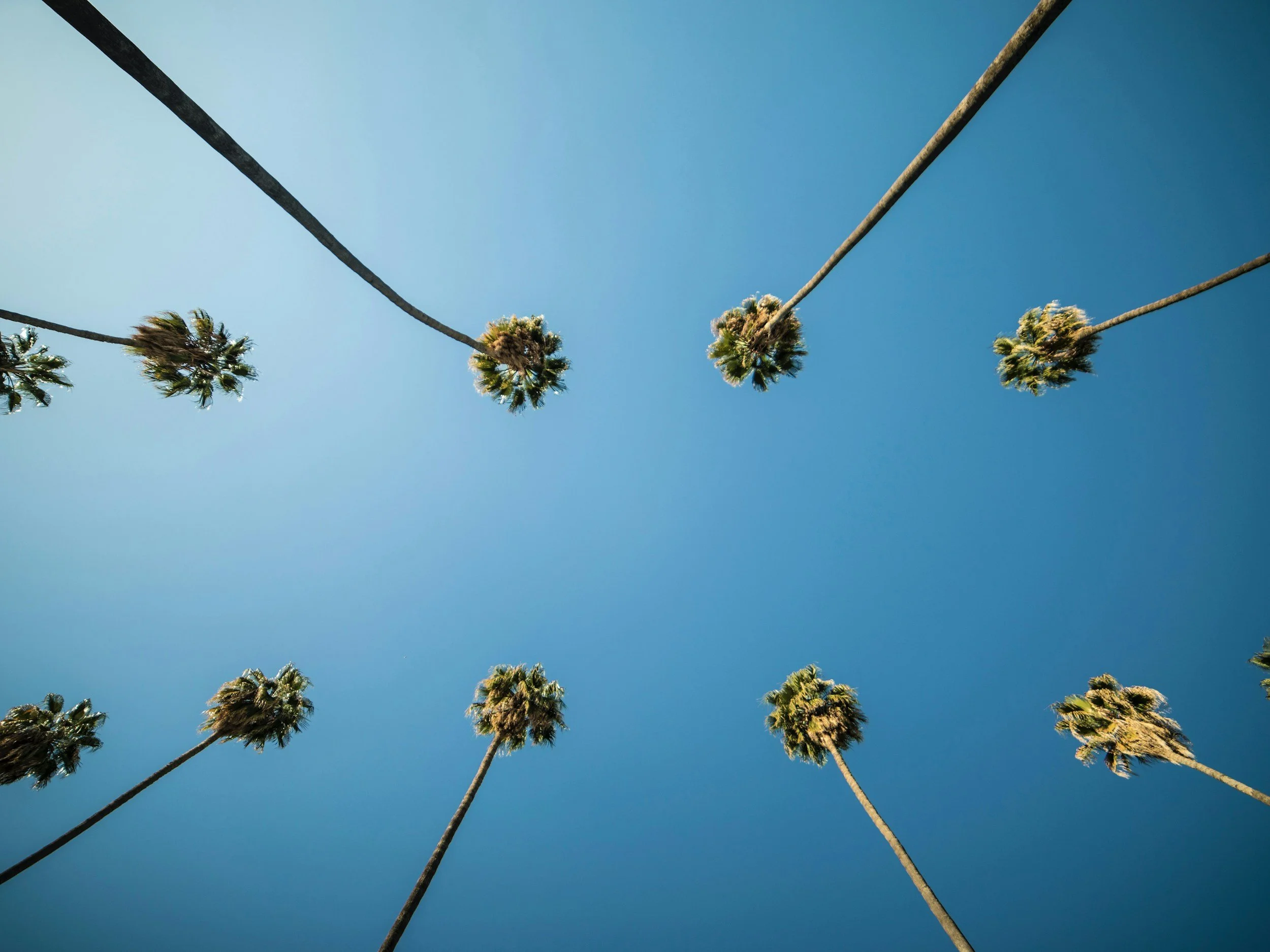 unsplash-image-LZr7ZcMVDs4.jpg