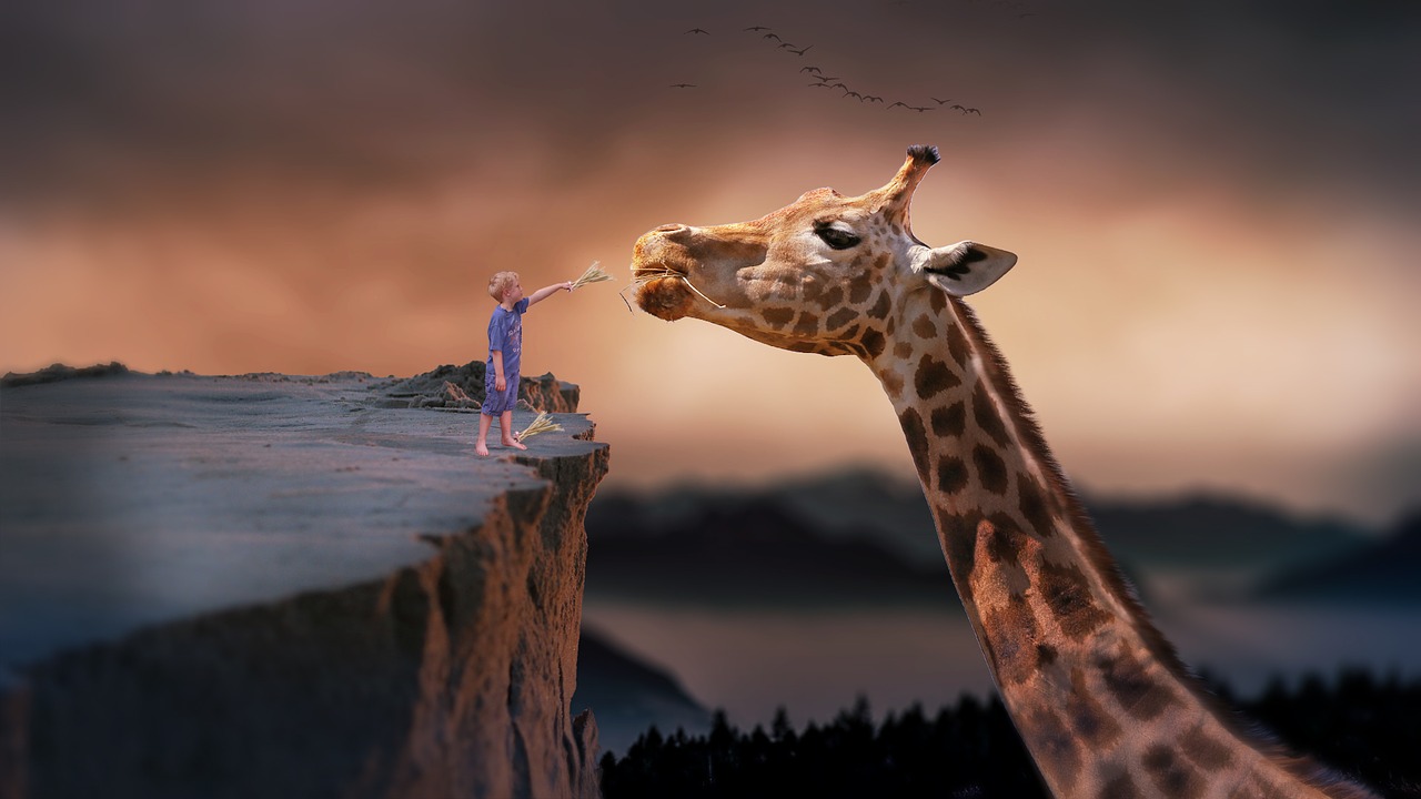 how-to-interpret-dreams-giraffe-1959110_1280..jpg