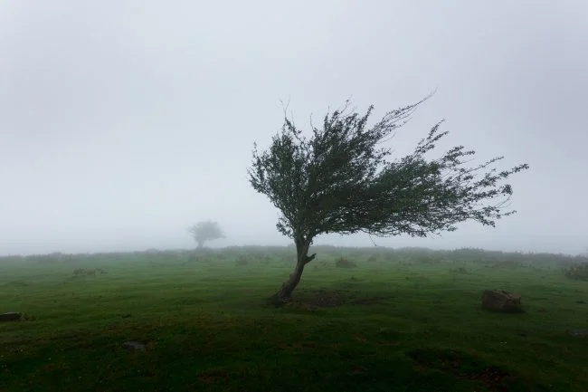 mahkeo-381006-unsplash-650x433.jpg