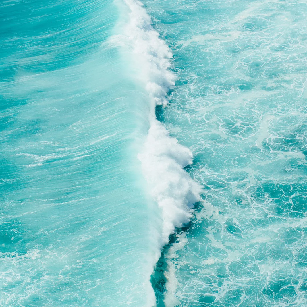 social-oceanday-waves.jpg