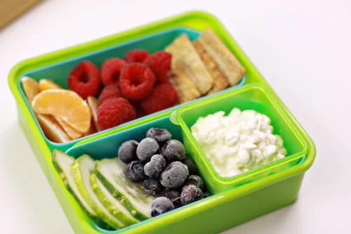 homemade-school-lunch1.jpg