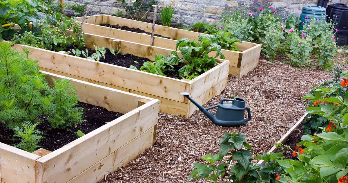 The-Benefits-of-Raised-Beds.jpg