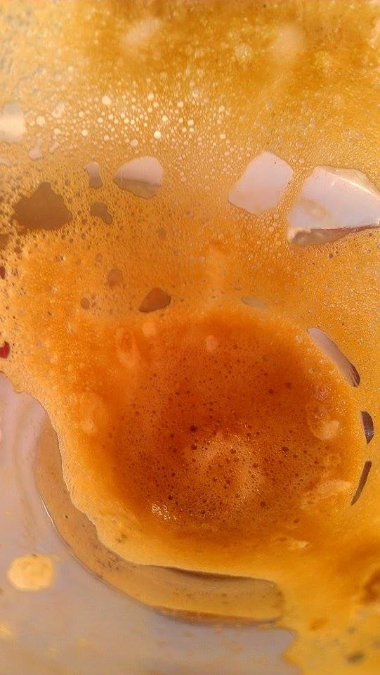 cortado-reading-the-foam-solo-in-spain