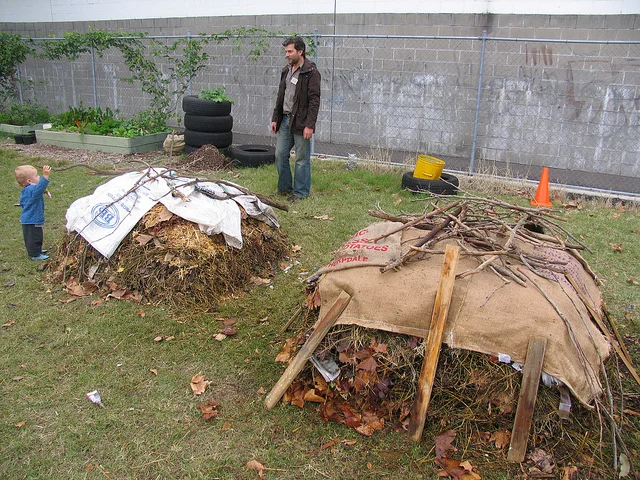 biodegradable.jpg