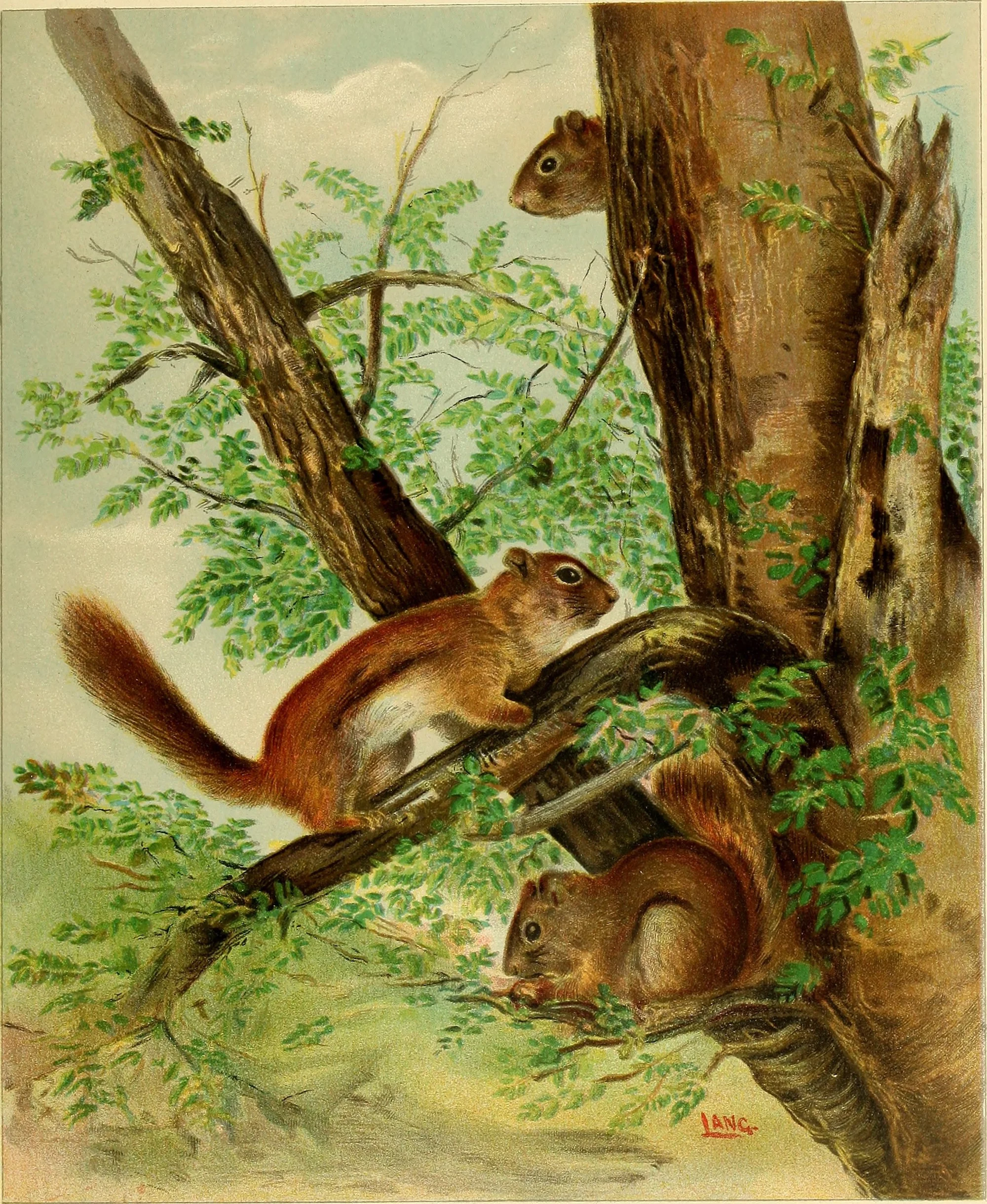Feeling like a squirrel? It happens to all of us. 