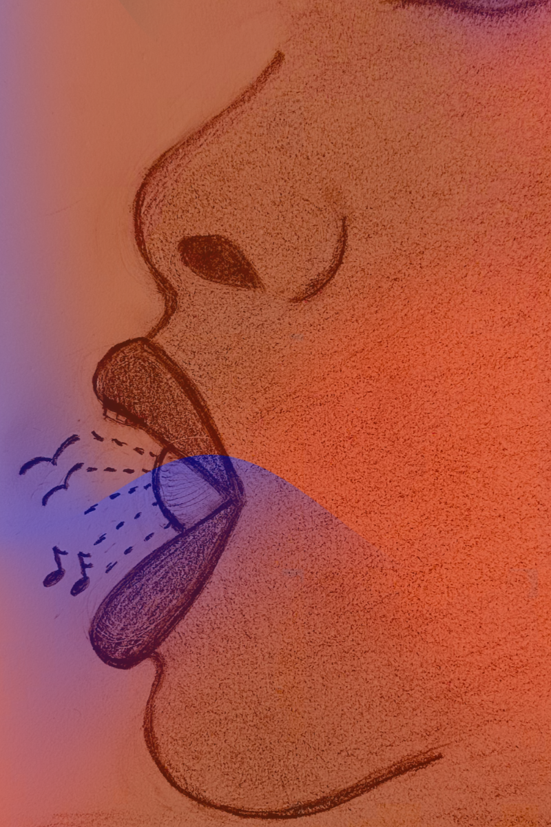 How We Speak……. (Part 3 of the Black Woman’s Voice trilogy)