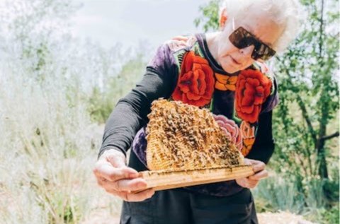Bees, Our Planetary Elders | Voyce Sensei
