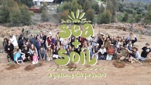 Sea + Soil feat. Indigenous Regeneration
