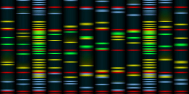 Genomics (2).png