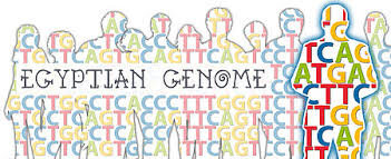 Eygyptian Genome