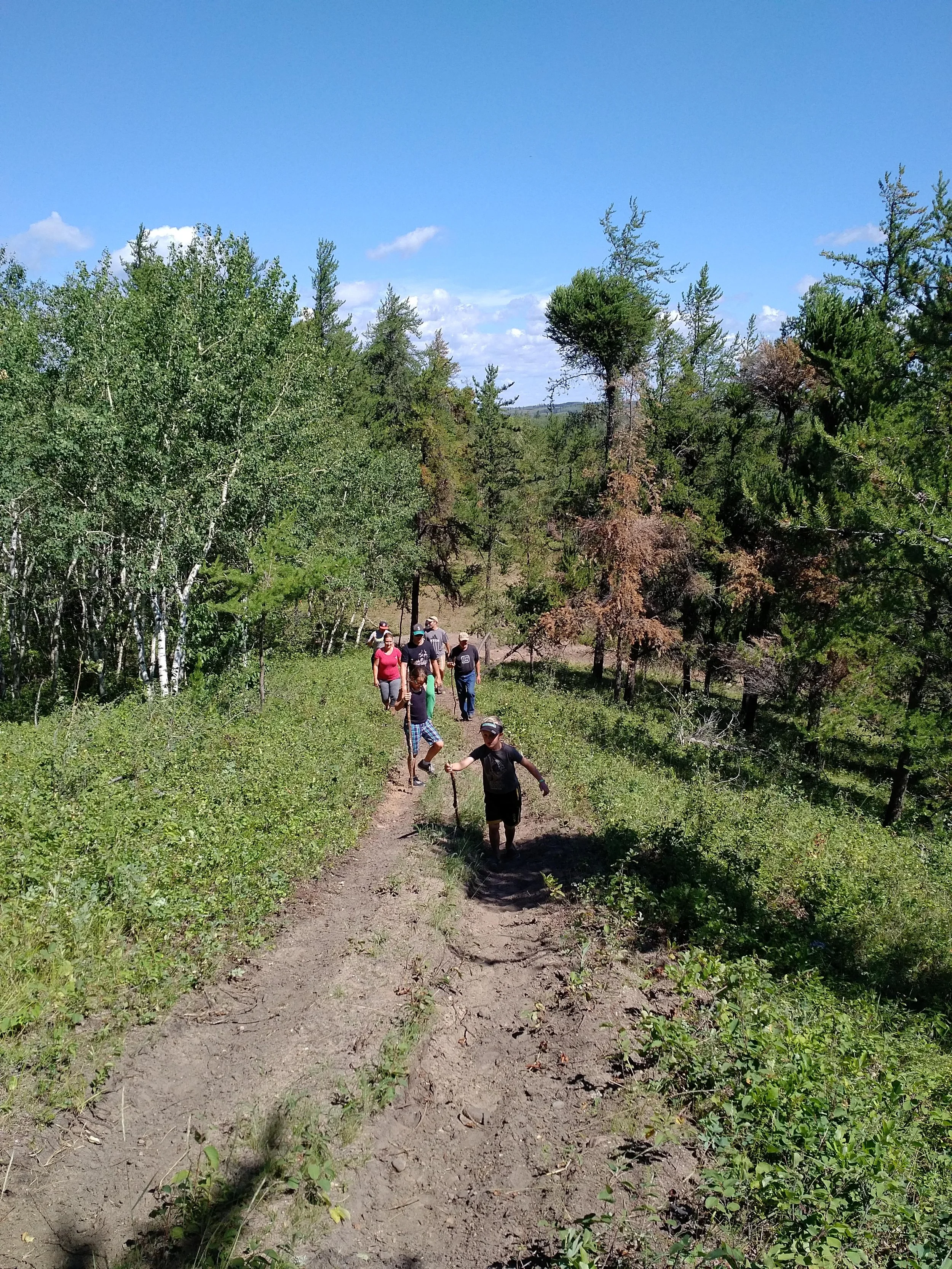 Exploring Boreal Forest Trails at Nature Forever Conservancy