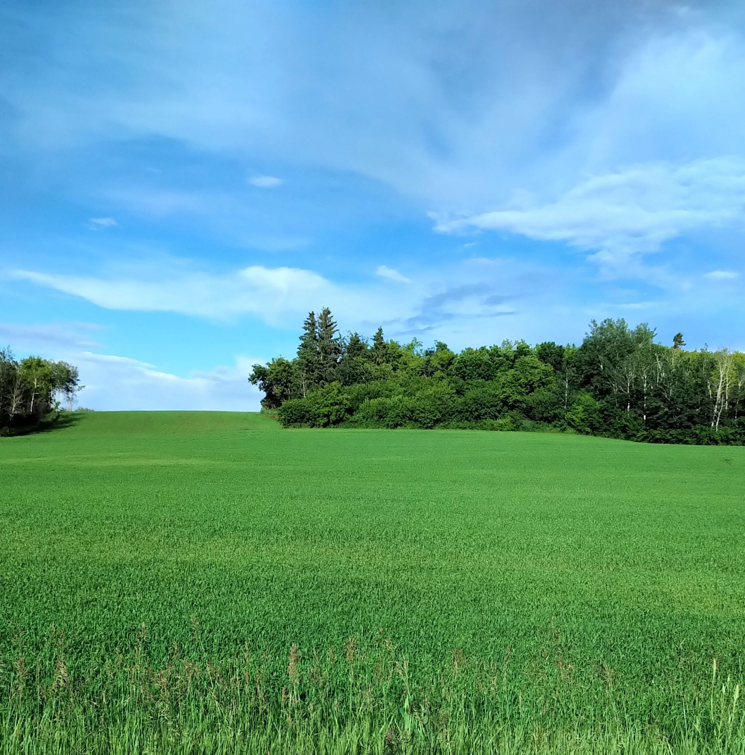 Things Are Growing on the Farm: Season of Sustainable Growth