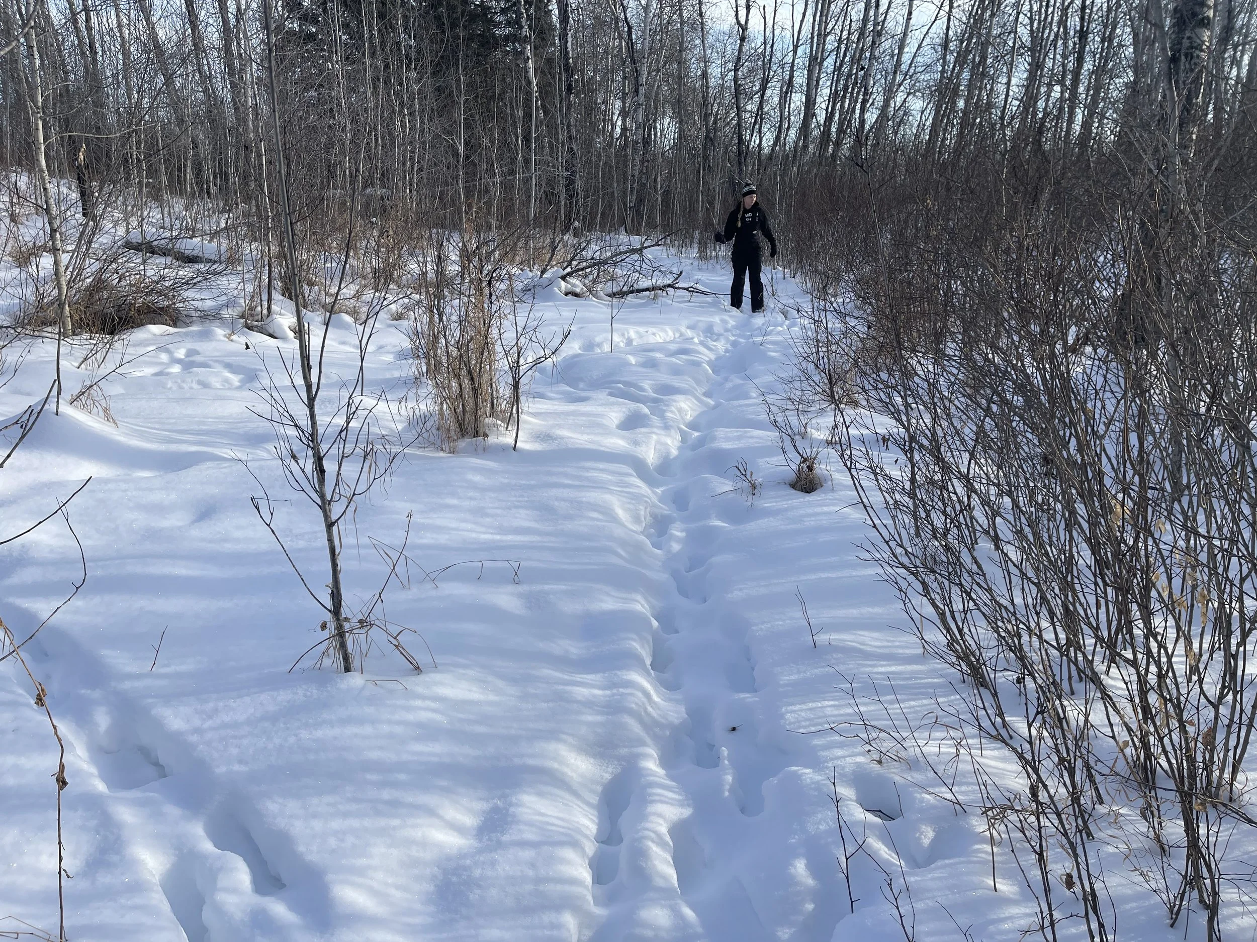 Experience Winter at Carlton Trail Guest Lodge