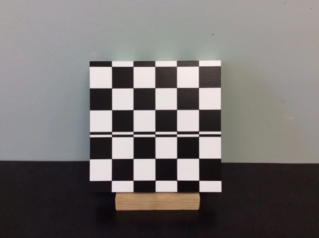 ms #124   -   Black and White Checks