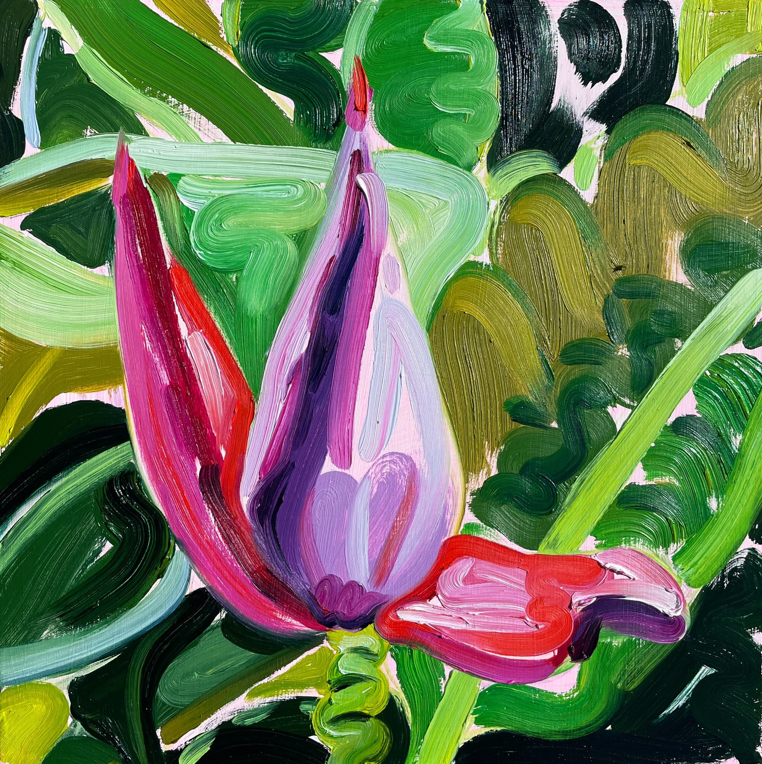 EXPRESSIVE BANANA FLOWER.JPG