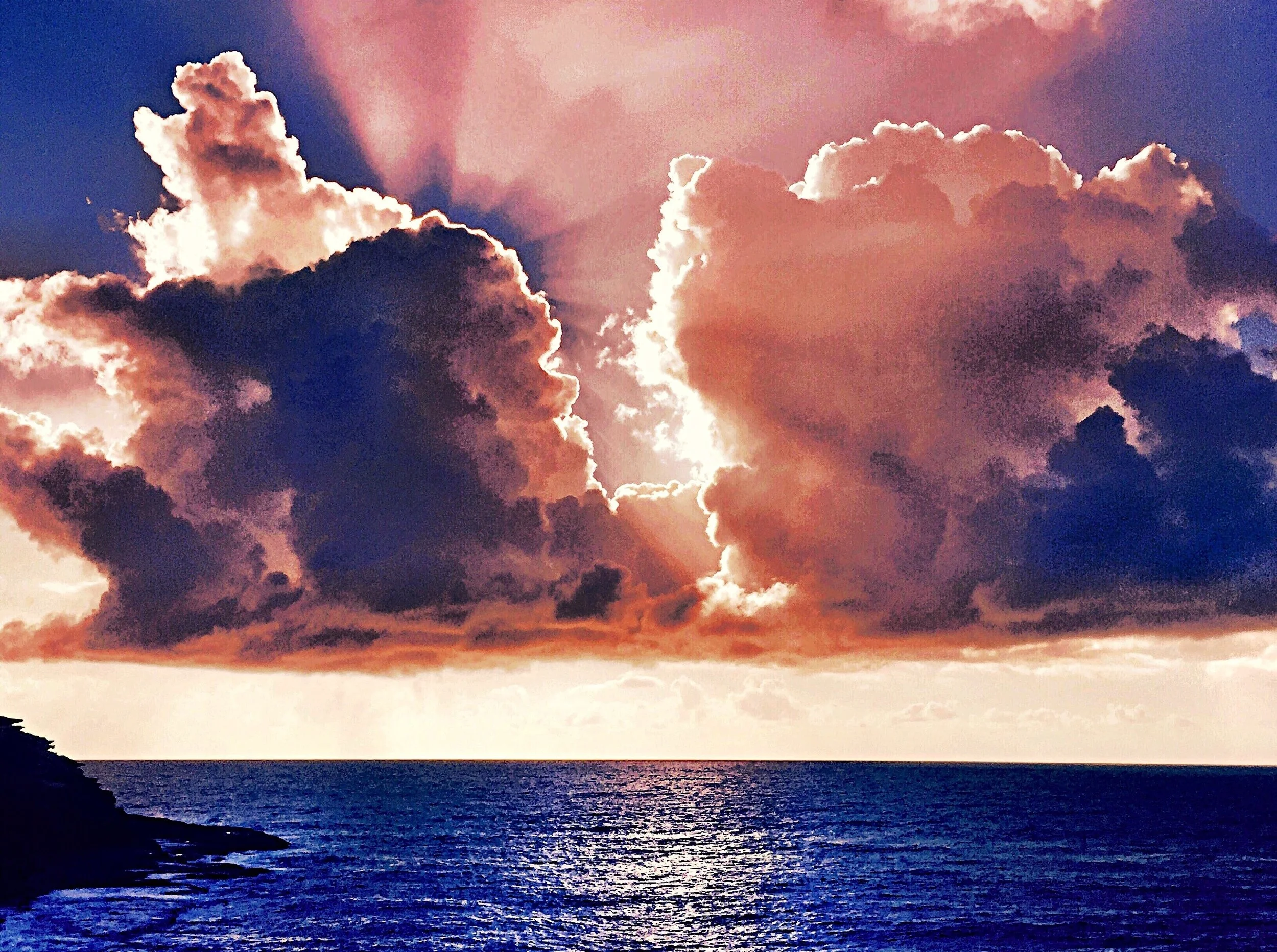 This Must Be Heaven - Tamarama Beach