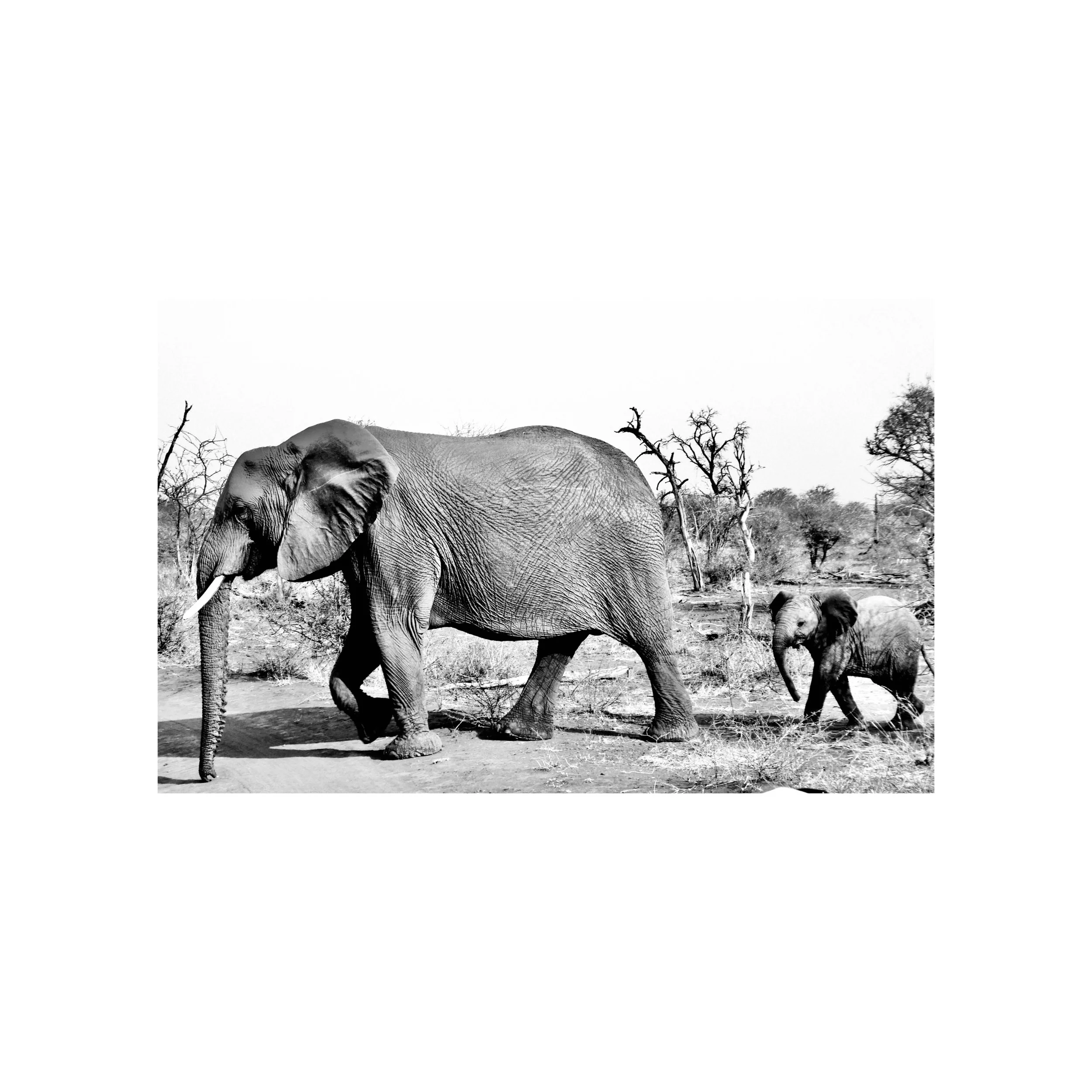 tempImageForSave 9.JPG