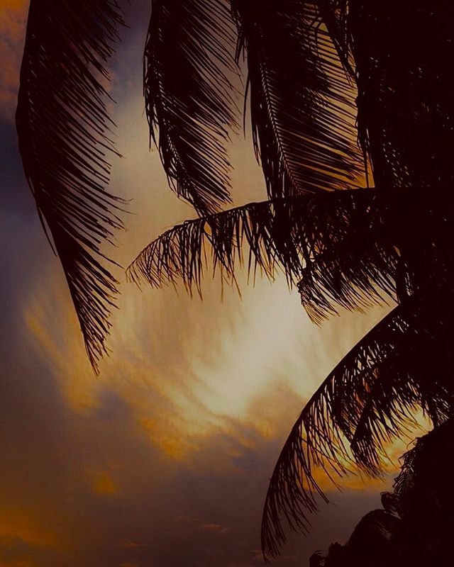 Gotta love a 🌴 ⠀⠀⠀⠀⠀⠀⠀⠀⠀
⠀⠀⠀⠀⠀⠀⠀⠀⠀
regram via @dream_cabanas⠀⠀⠀⠀⠀⠀⠀⠀⠀
Love it when I find a like minded instagram account on the other side of the planet ....! ⠀⠀⠀⠀⠀⠀⠀⠀⠀
Have a nice evening in Caye Caulker ! Dream Cabanas#palm #cayecaulker #belize #