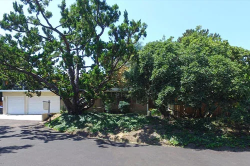 Oak right size.jpg