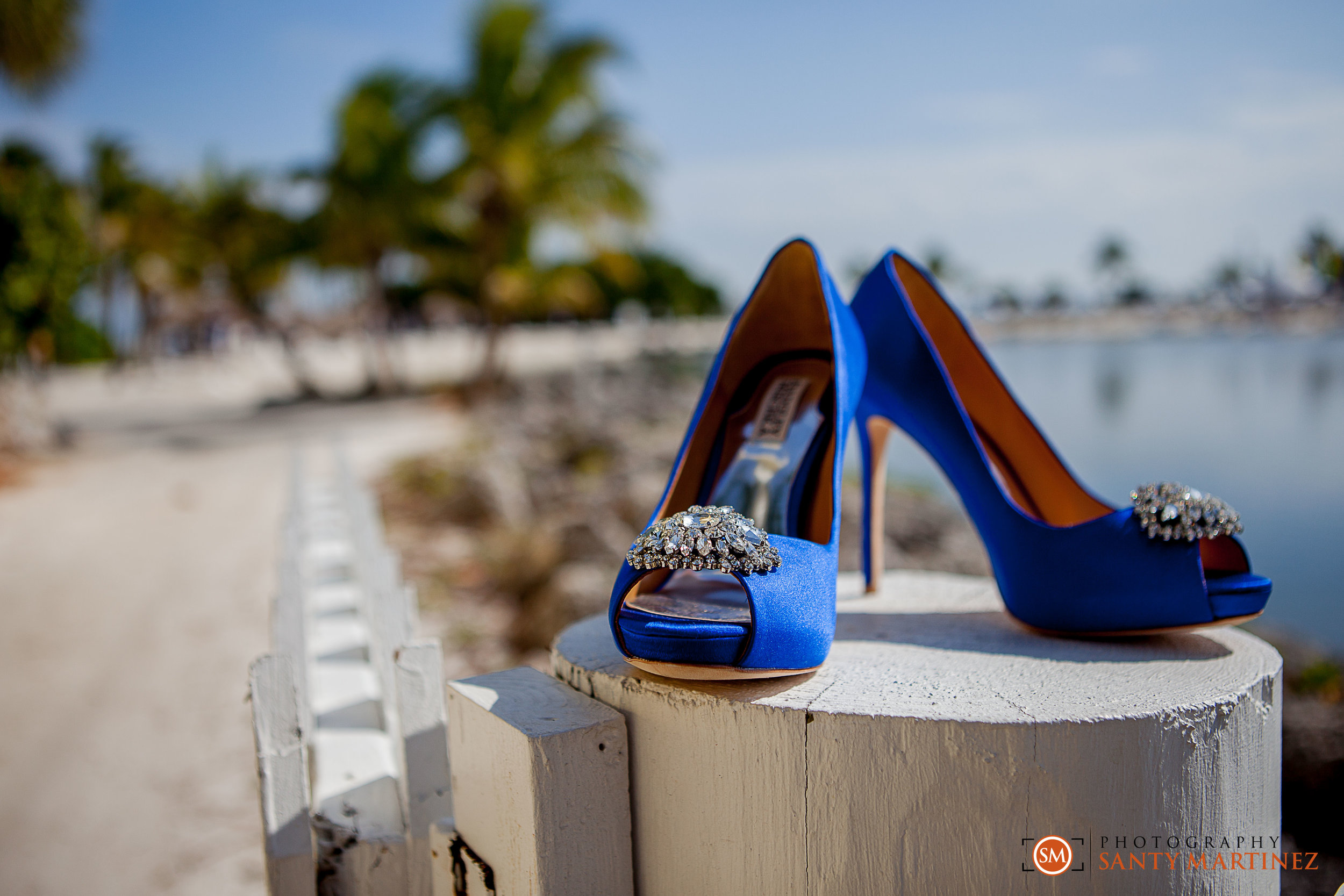 Miami Wedding Photographer - Santy Martinez -.jpg
