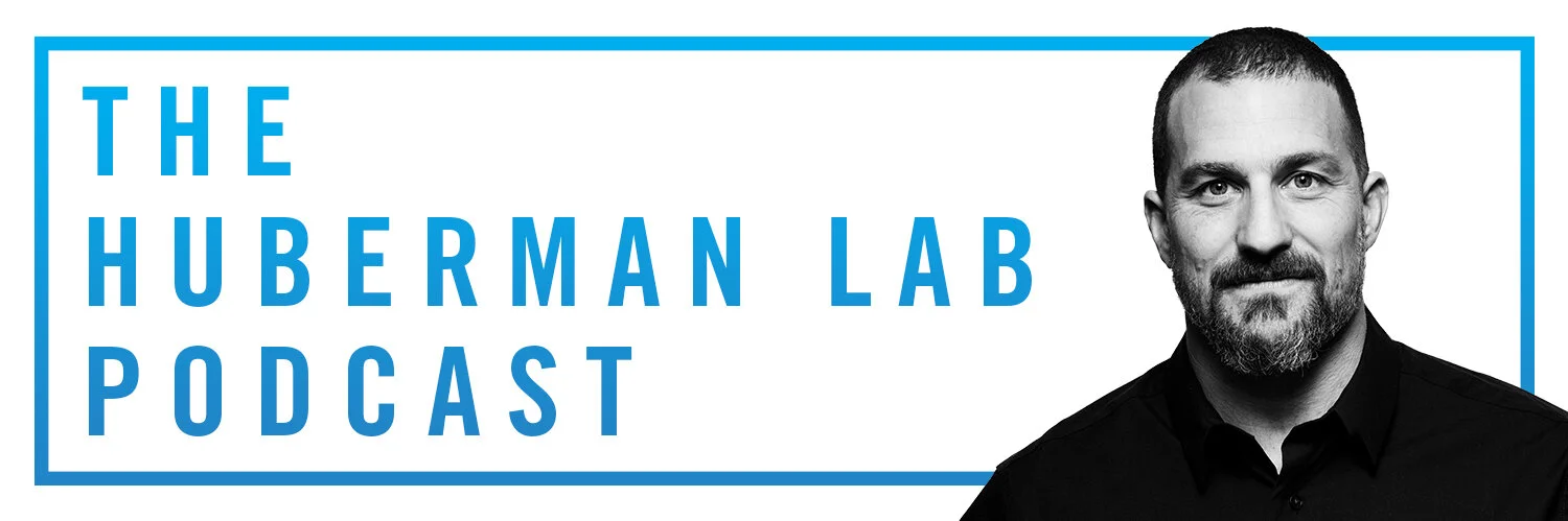 The Huberman Lab Podcast Brian Thompson Design Creative