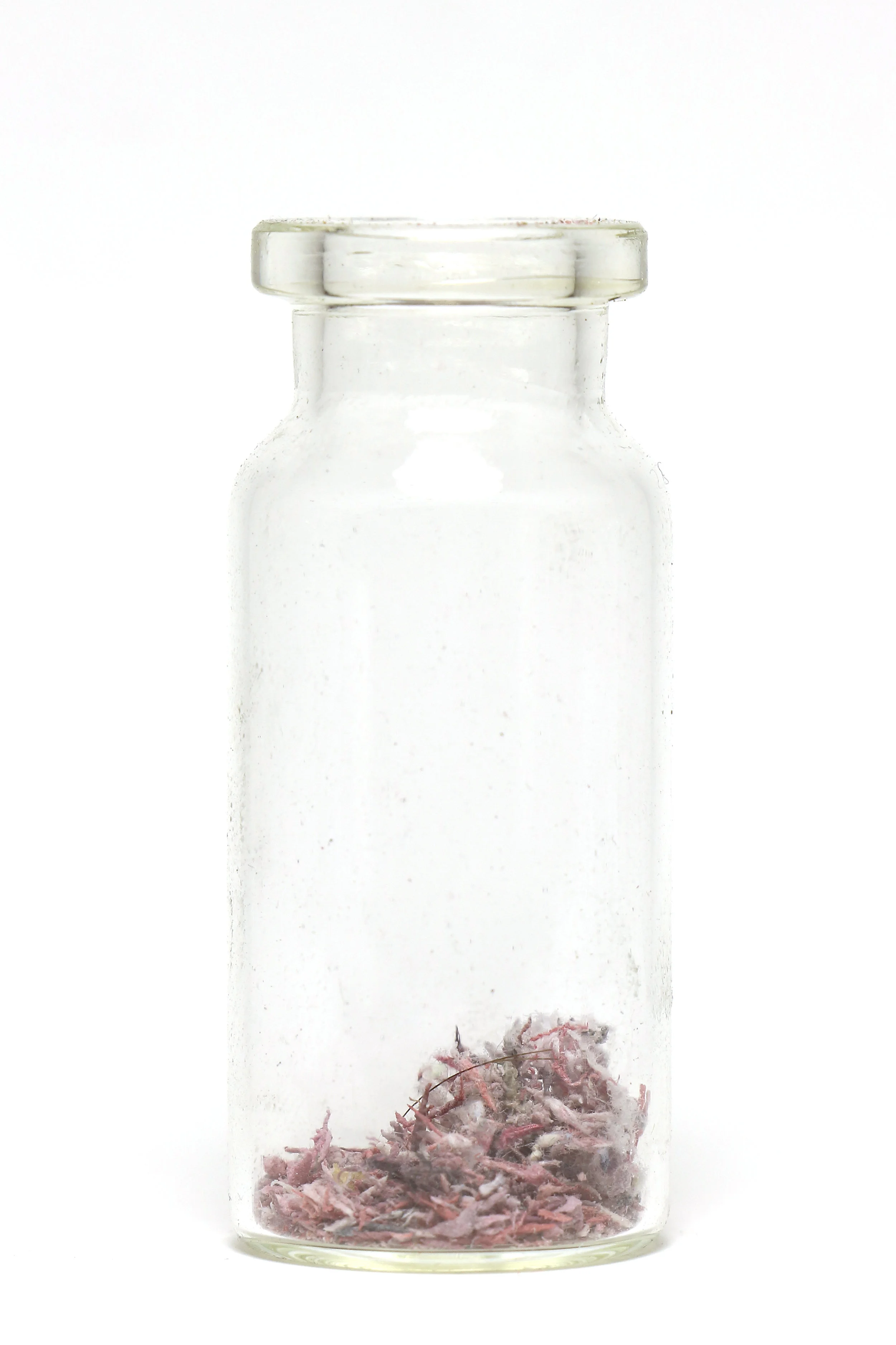 This Too Did Not Last Coloured pencil, eraser, paper, glass jar, 1" x 1" x 3", 2018.