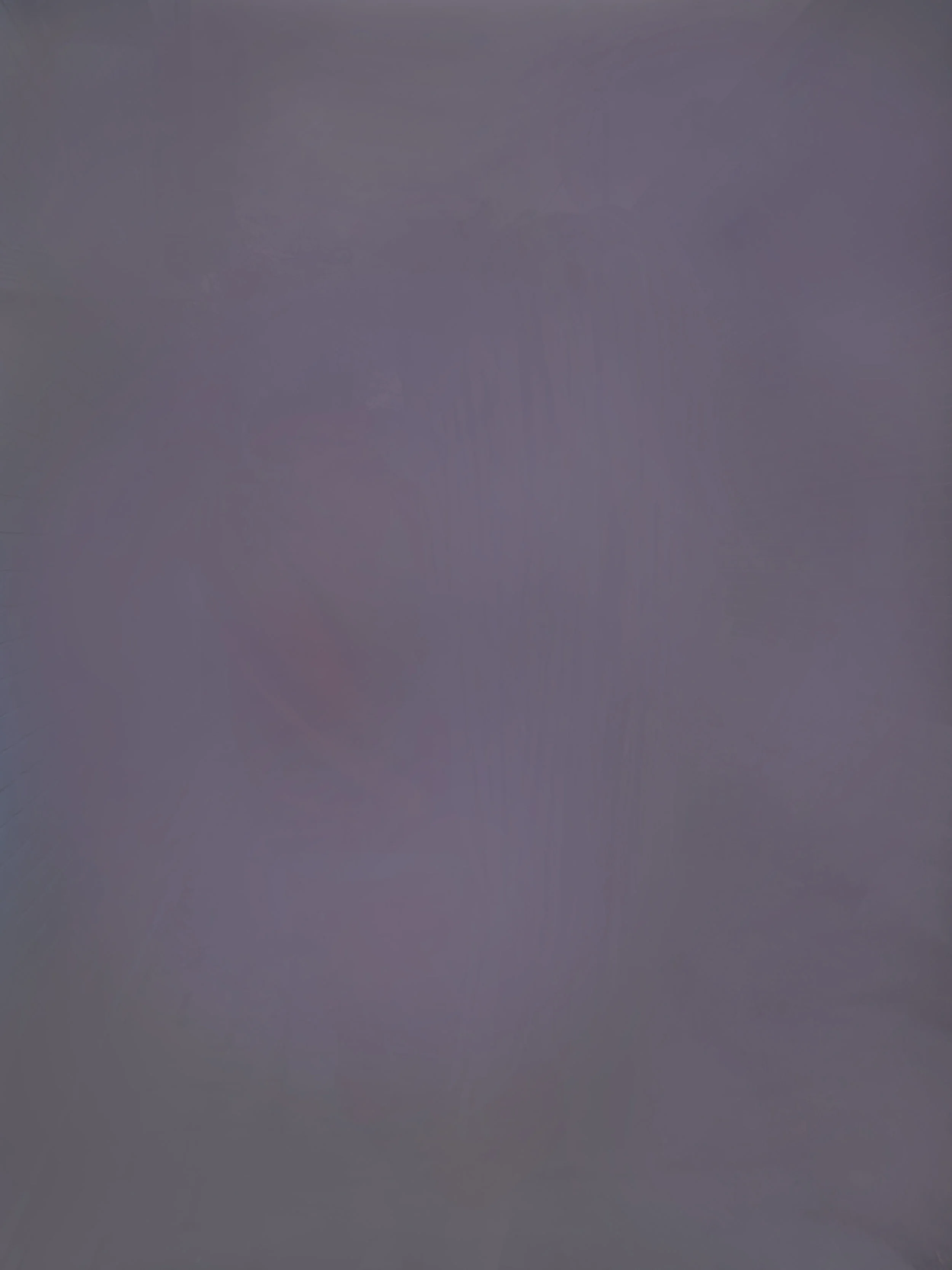 #5d5962 Archival Pigment Print, 58" x 44", 2017.