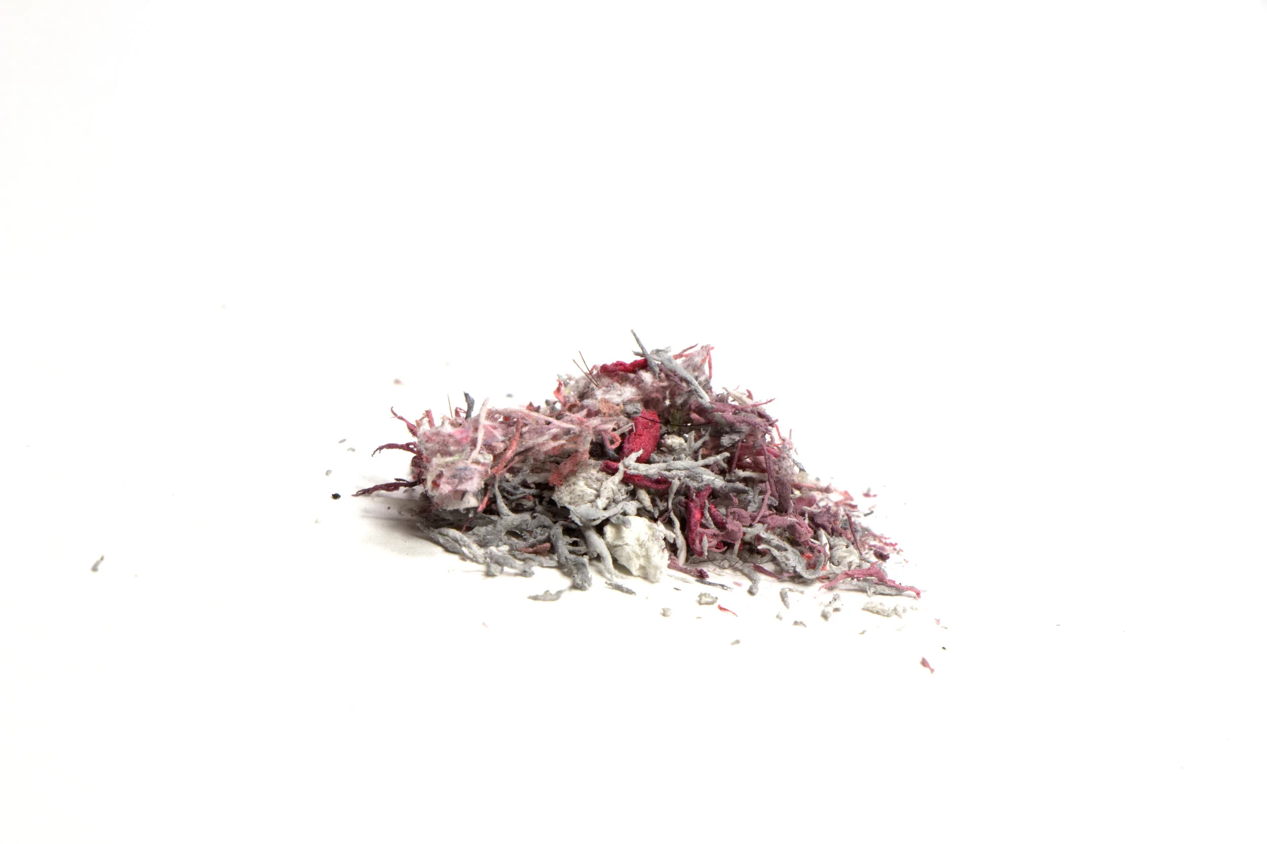 This Too Did Not Last (Remnants) Archival pigment print, 30" x 44", 2018.