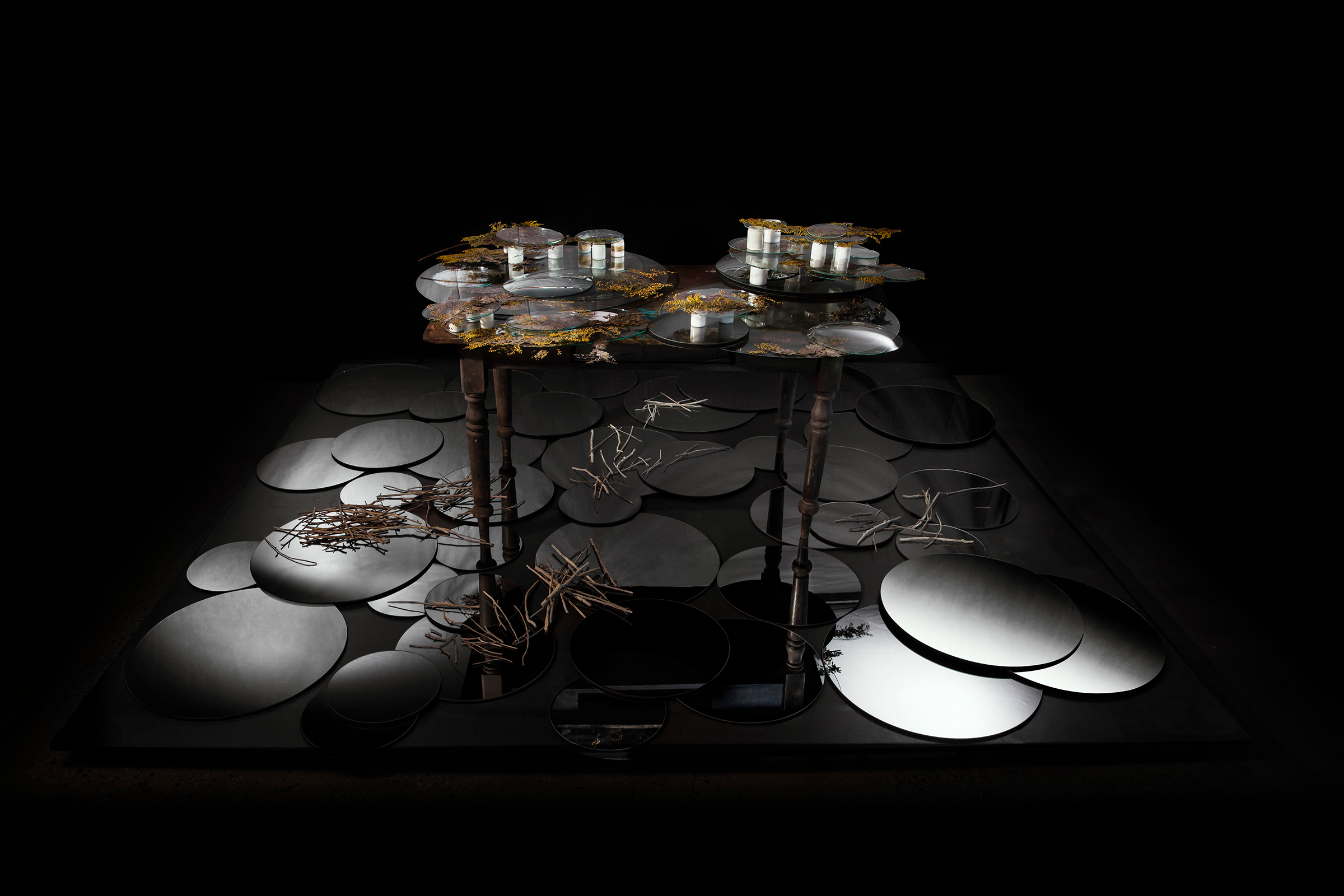 Louiseann-King-arbor-temporis-momentum-flore-01.png