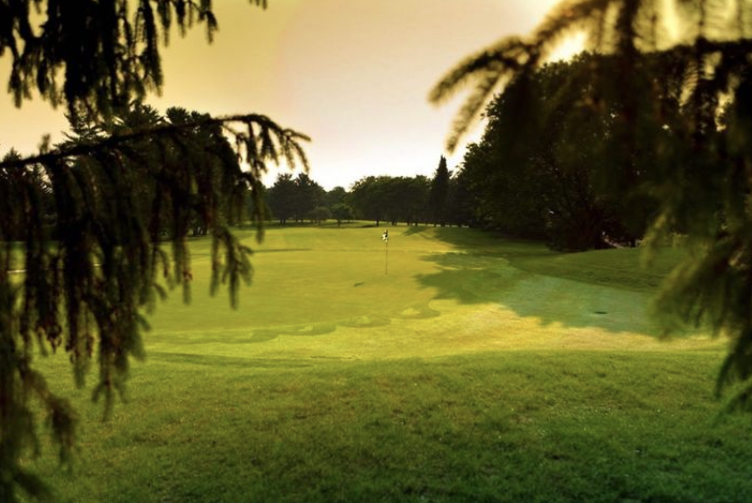 Screen Shot 2023-11-29 at 11.16.13 AM.png