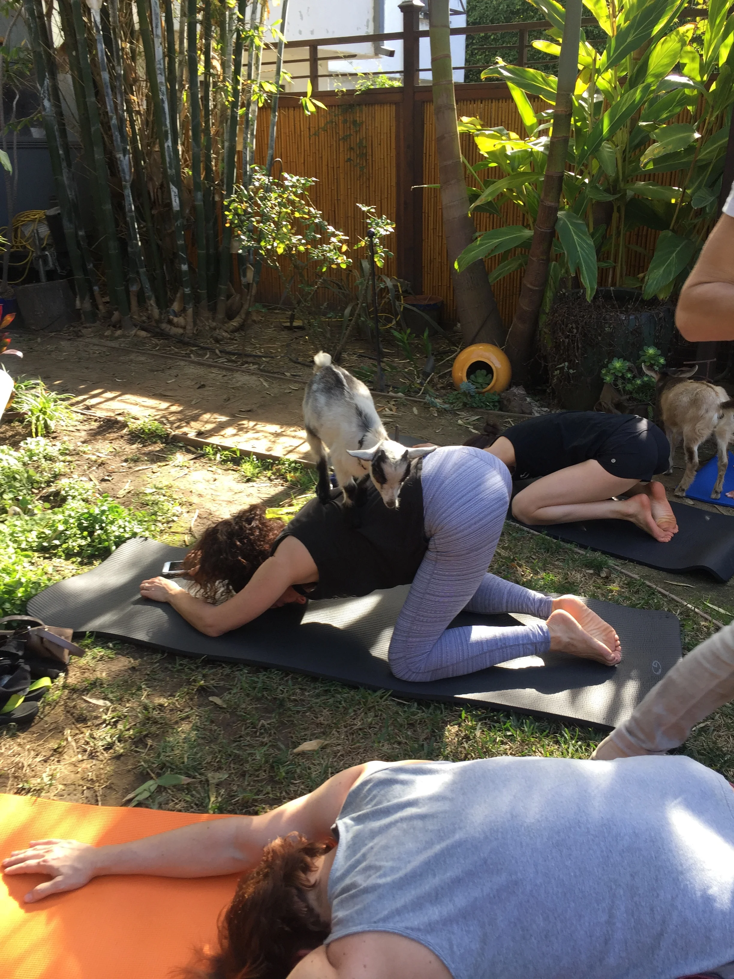 2018-01-14 13.16.46.jpg